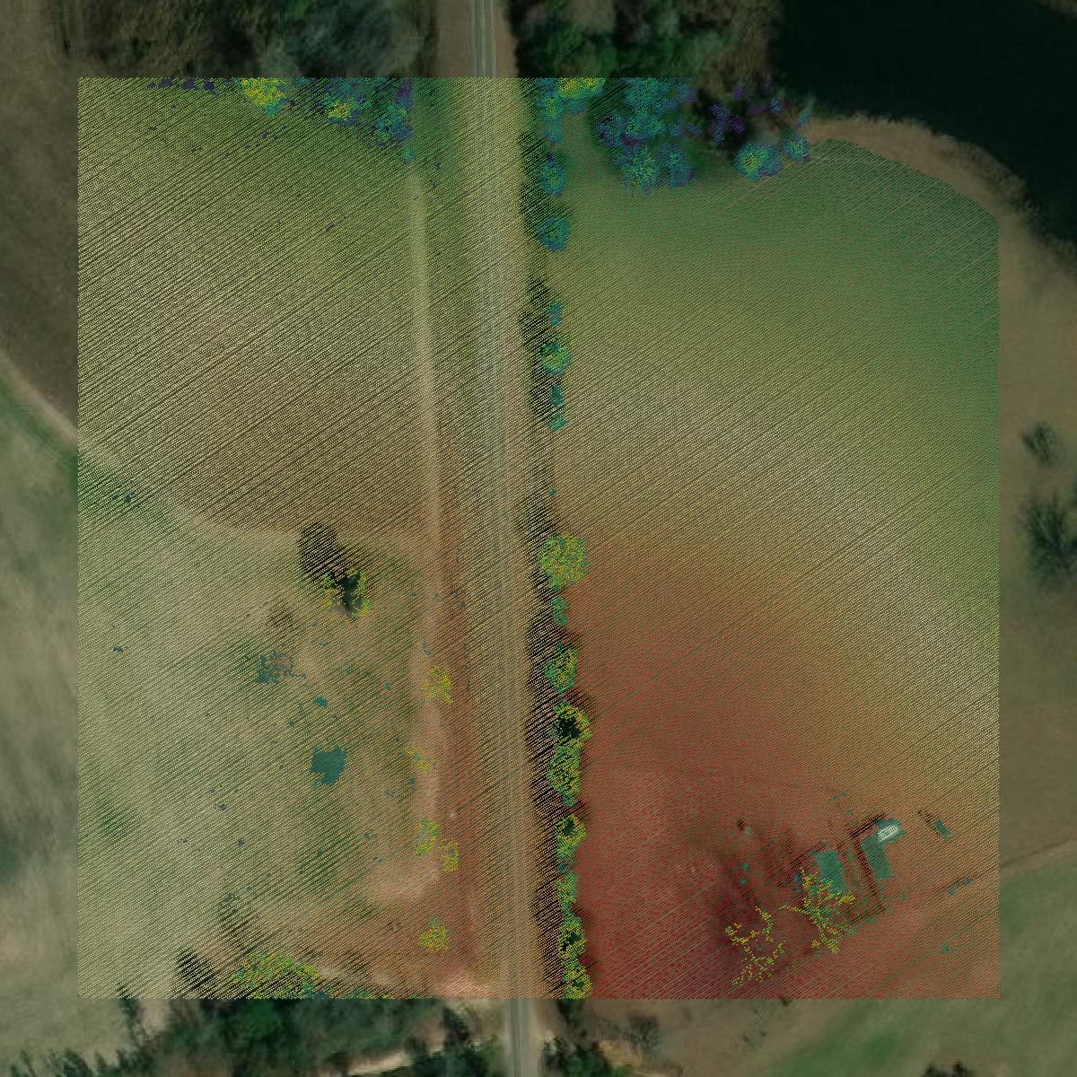 This image shows a LiDAR point cloud in Telfair County created using GIS data in Equator.