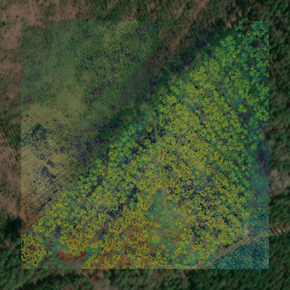 This image shows a LiDAR point cloud in Telfair County created using GIS data in Equator.