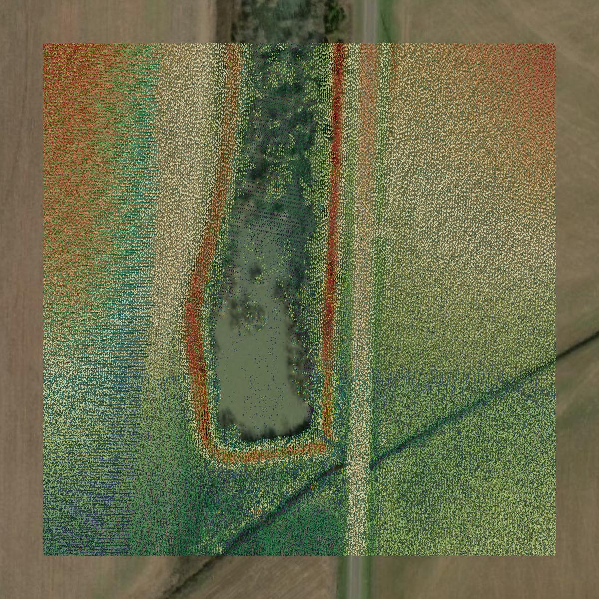 This image shows a LiDAR point cloud in Terrell County created using GIS data in Equator.
