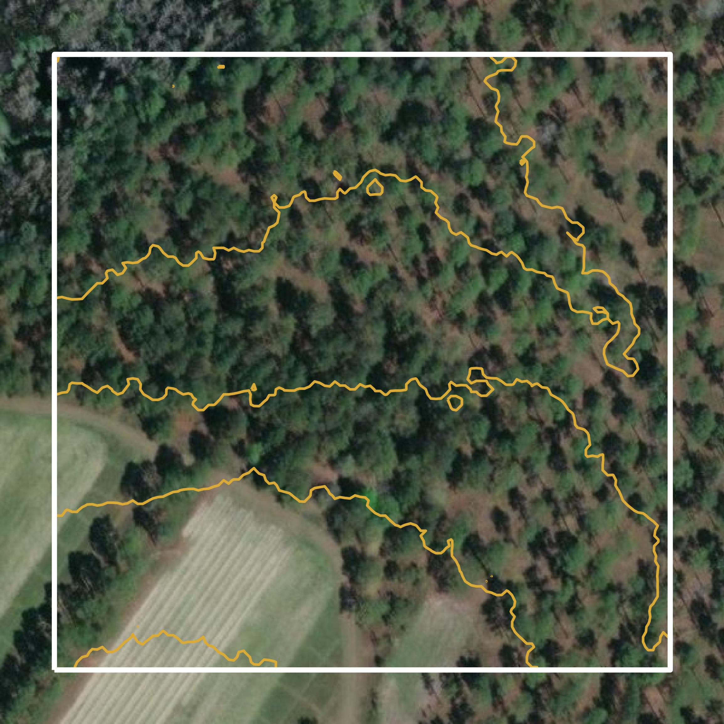 This image shows a contour map in Thomas County created using GIS data in Equator.