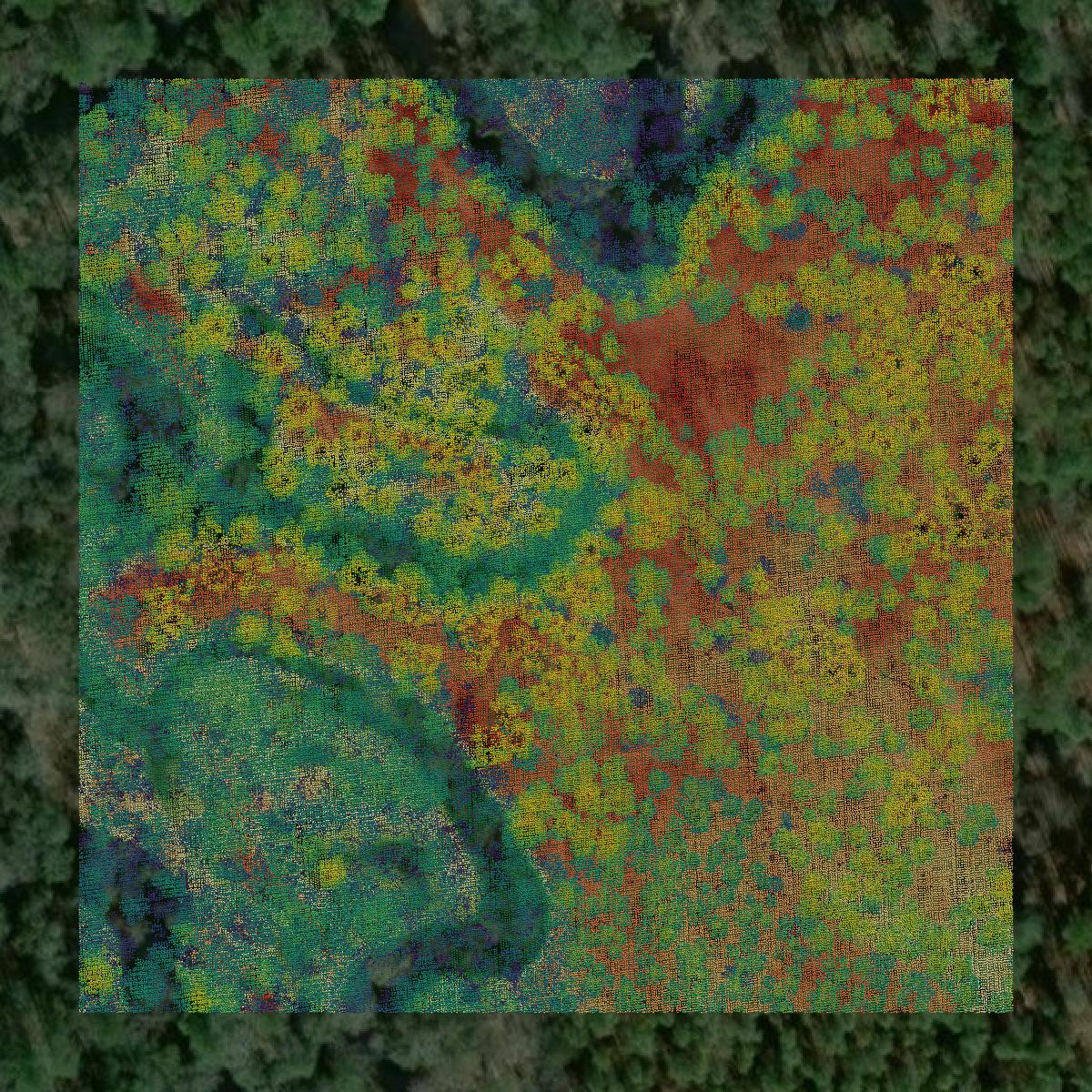 This image shows a LiDAR point cloud in Thomas County created using GIS data in Equator.