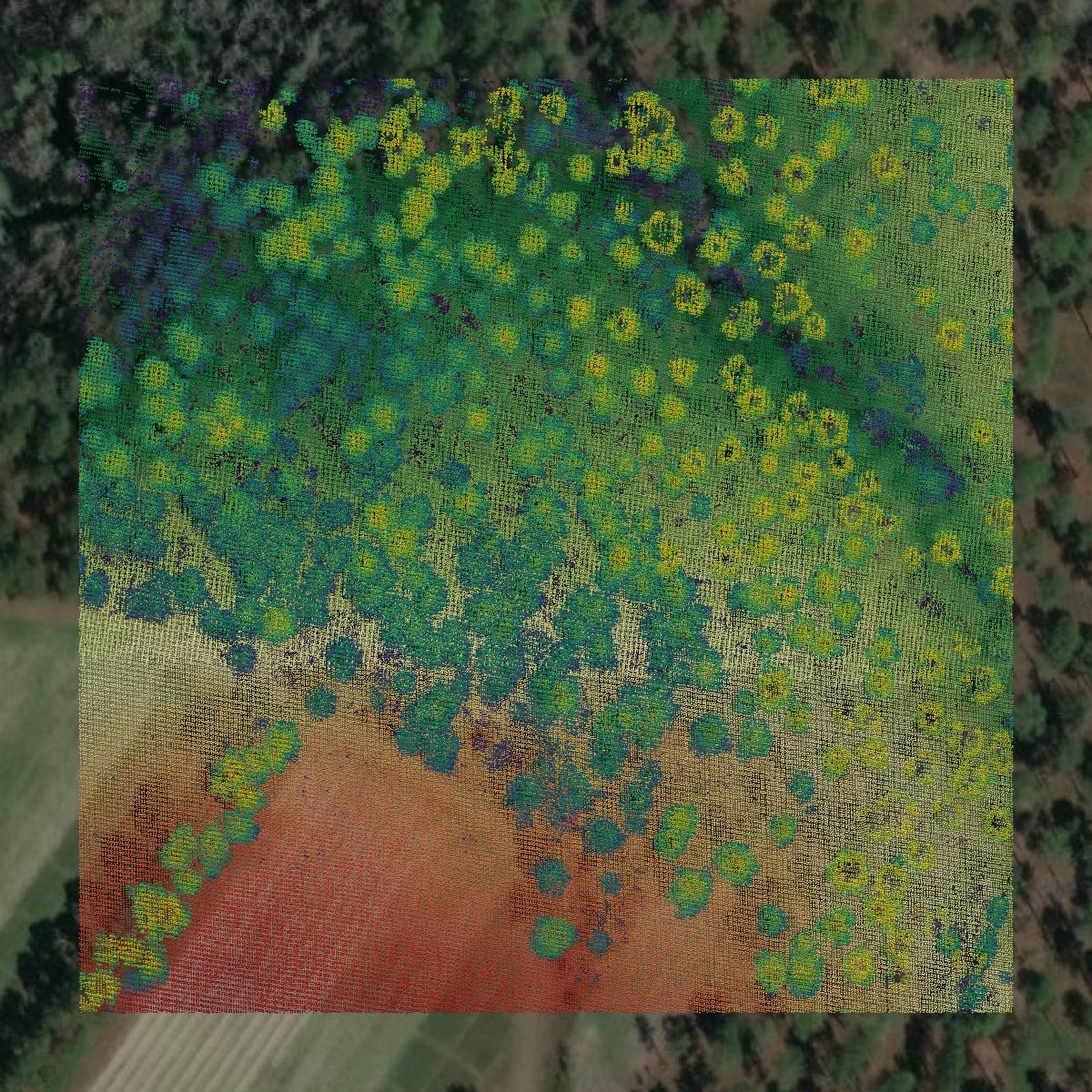 This image shows a LiDAR point cloud in Thomas County created using GIS data in Equator.