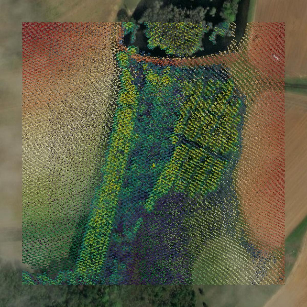 This image shows a LiDAR point cloud in Tift County created using GIS data in Equator.