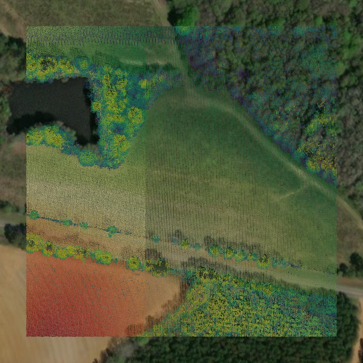 This image shows a LiDAR point cloud in Tift County created using GIS data in Equator.