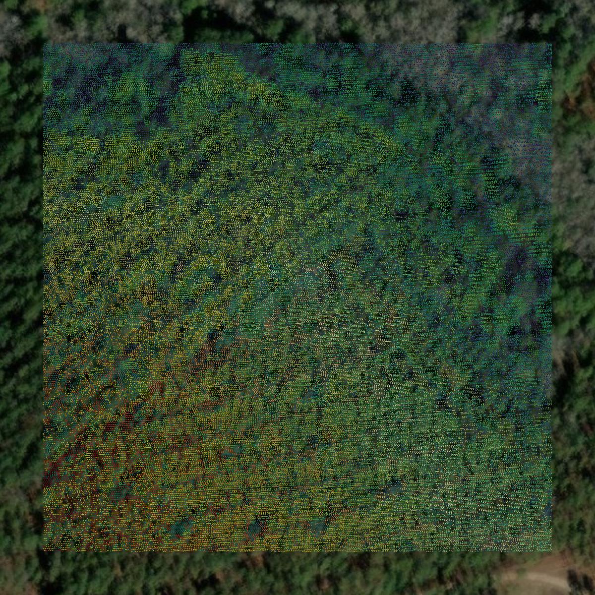 This image shows a LiDAR point cloud in Toombs County created using GIS data in Equator.