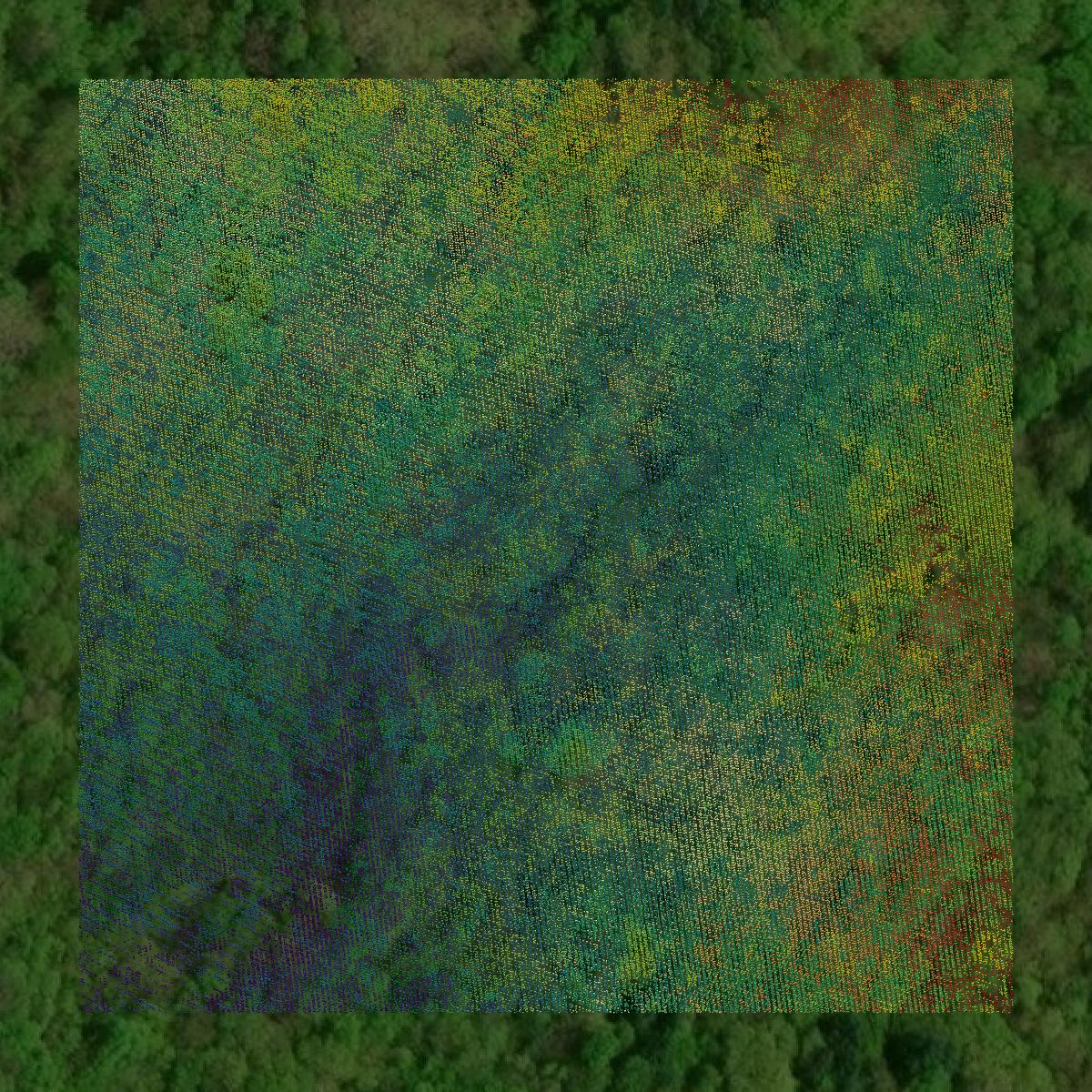 This image shows a LiDAR point cloud in Towns County created using GIS data in Equator.