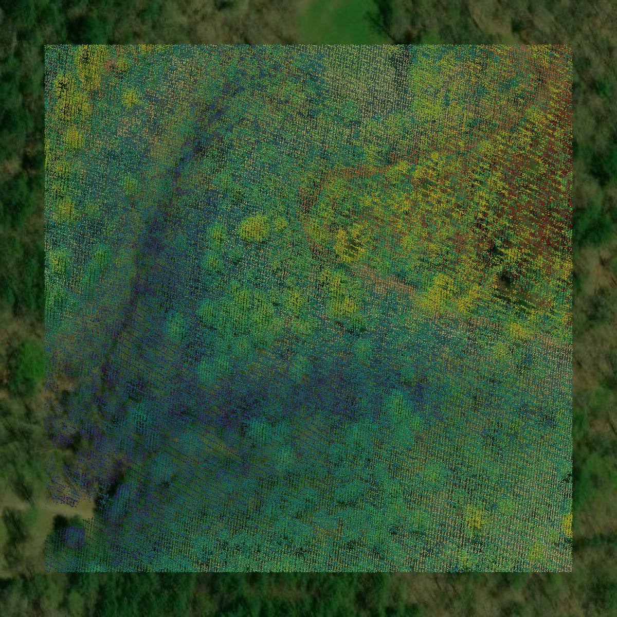 This image shows a LiDAR point cloud in Towns County created using GIS data in Equator.