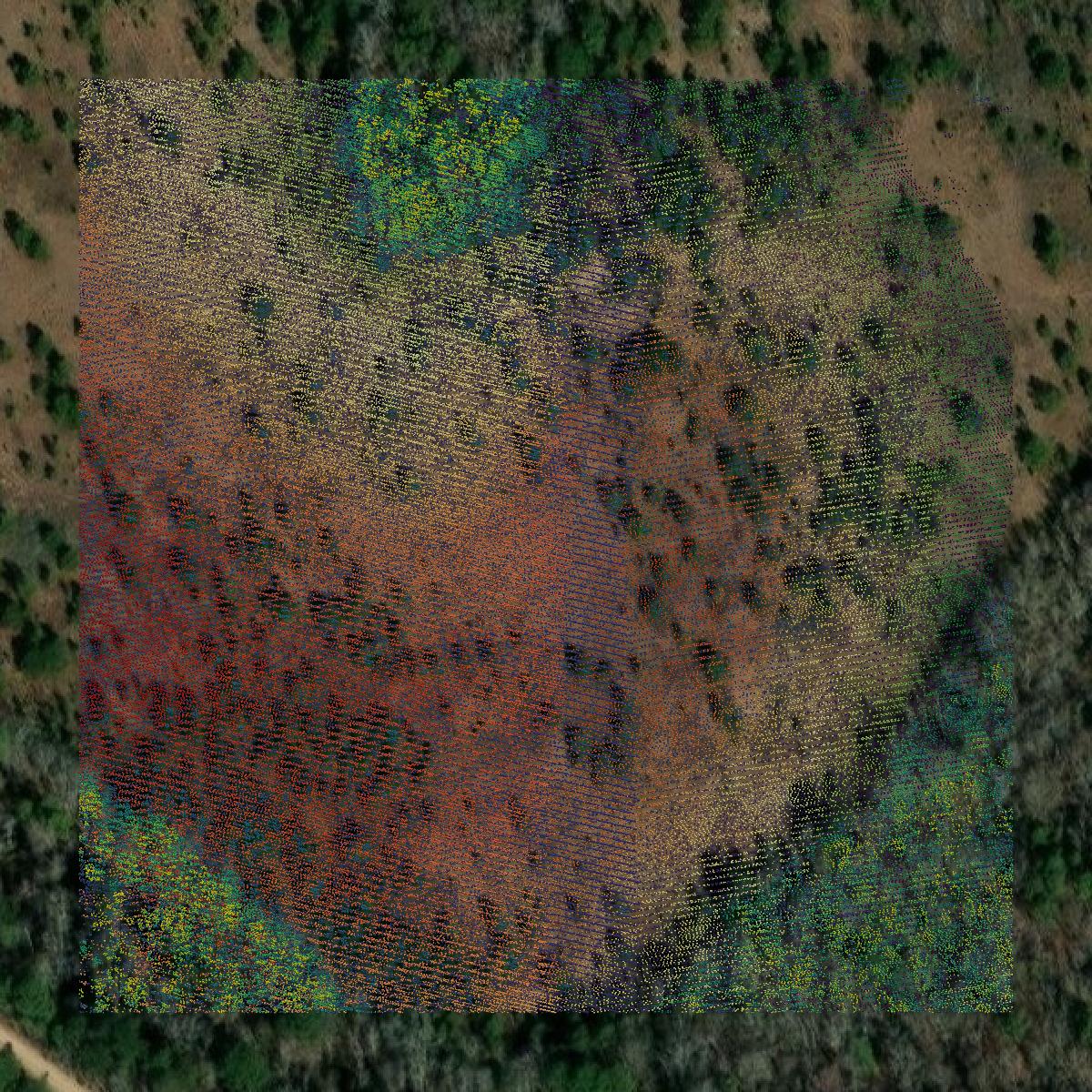 This image shows a LiDAR point cloud in Treutlen County created using GIS data in Equator.