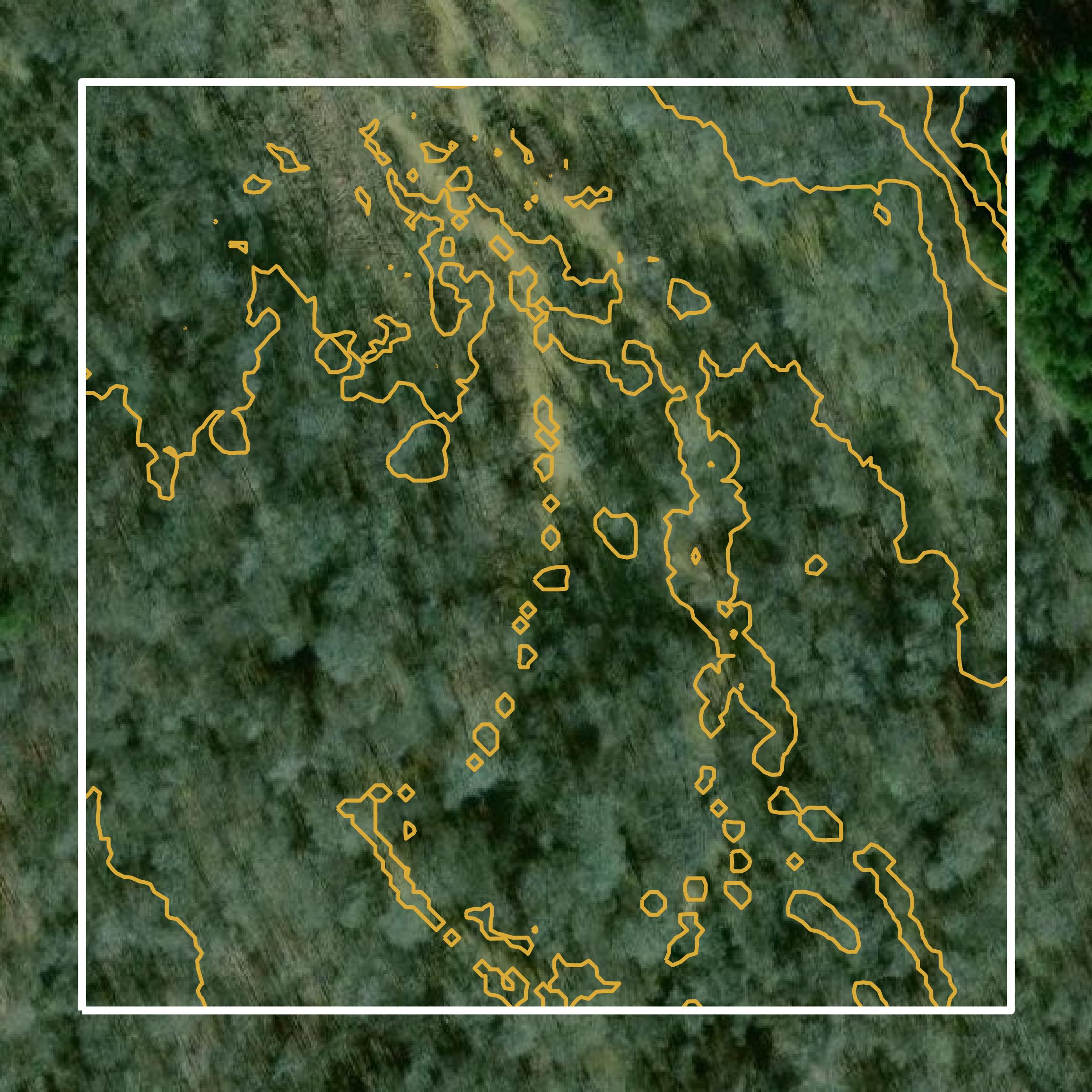 This image shows a contour map in Troup County created using GIS data in Equator.