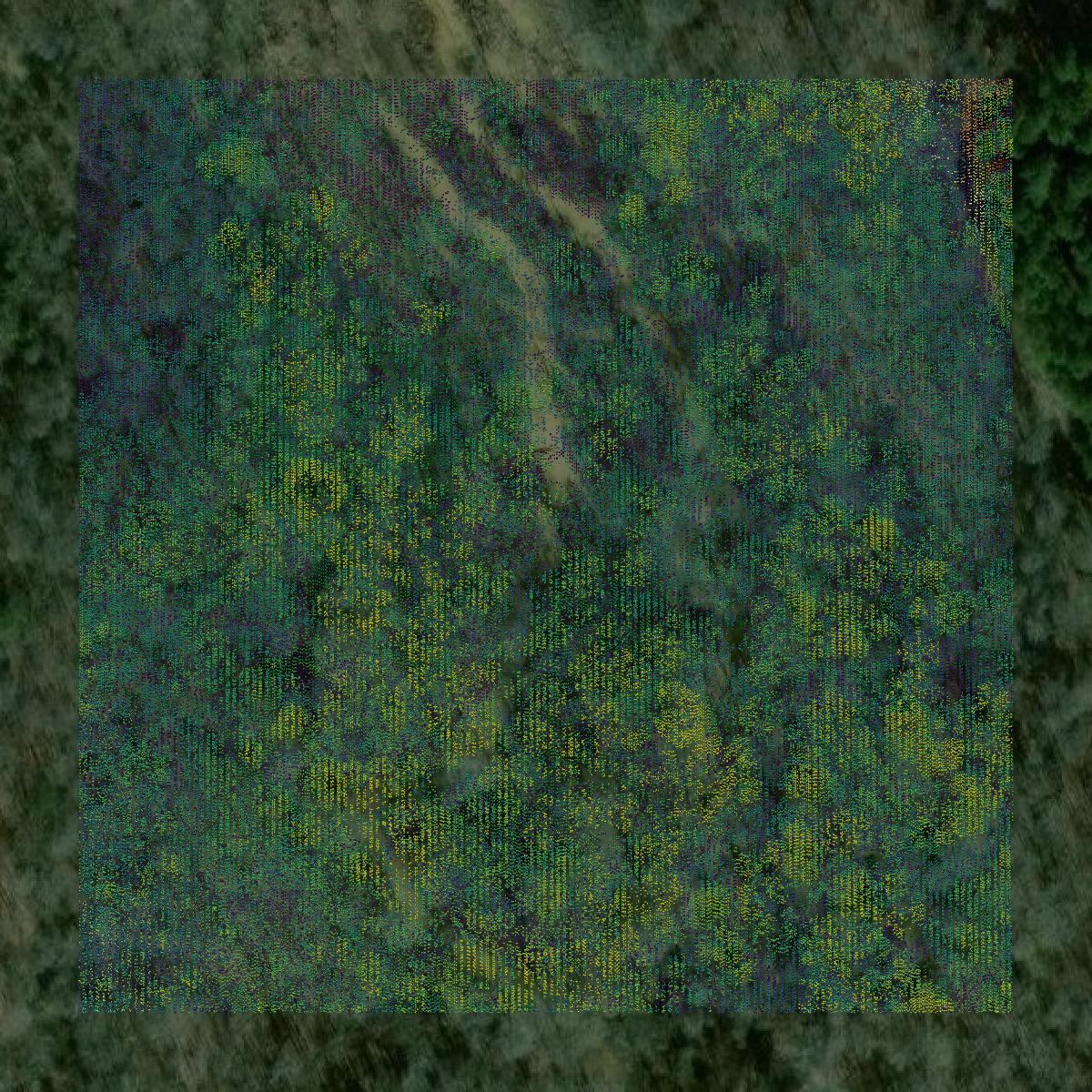 This image shows a LiDAR point cloud in Troup County created using GIS data in Equator.