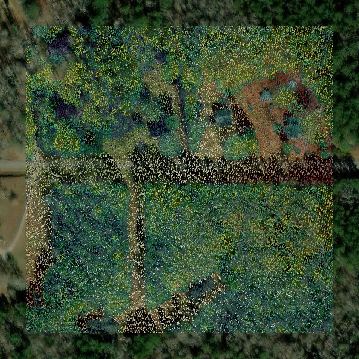 This image shows a LiDAR point cloud in Troup County created using GIS data in Equator.