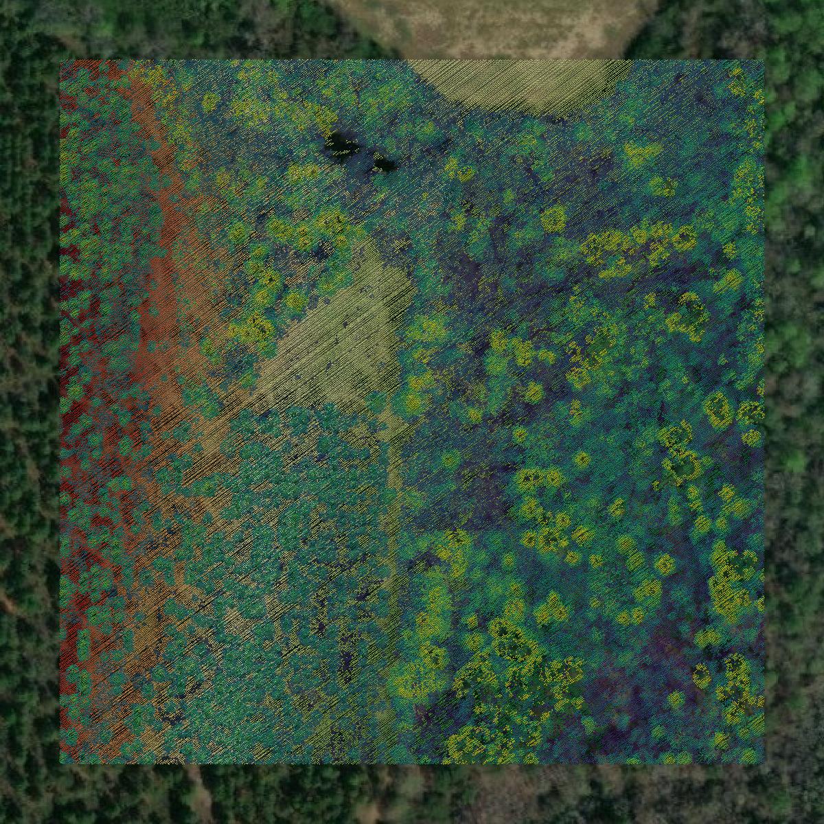 This image shows a LiDAR point cloud in Turner County created using GIS data in Equator.