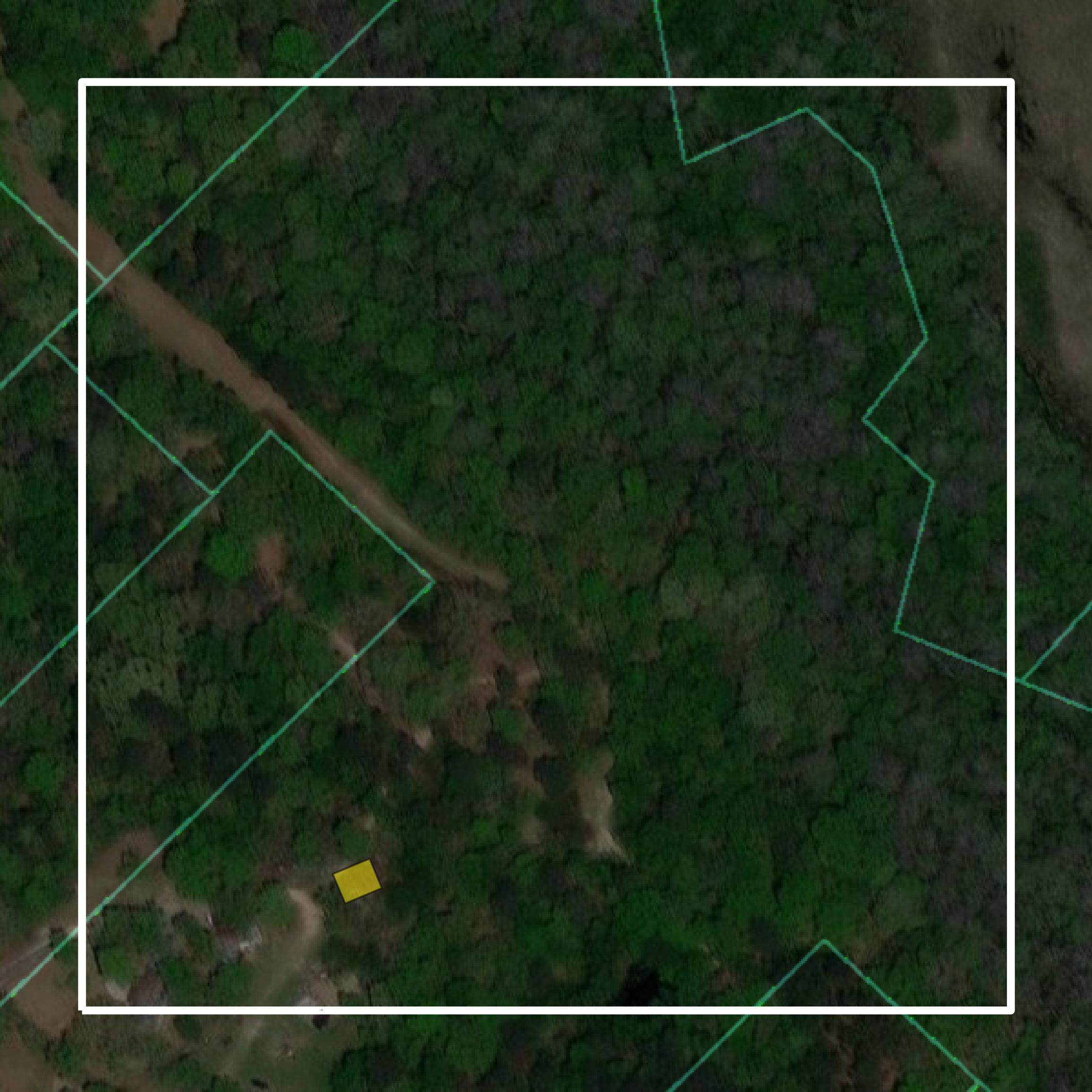This image shows parcel and building data in Twiggs County created using GIS data in Equator.