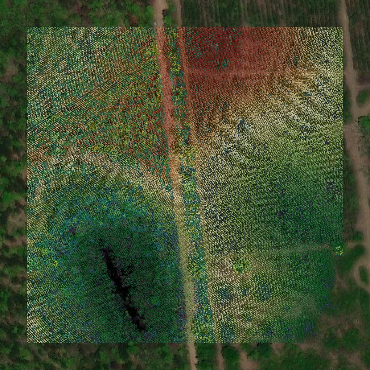 This image shows a LiDAR point cloud in Twiggs County created using GIS data in Equator.