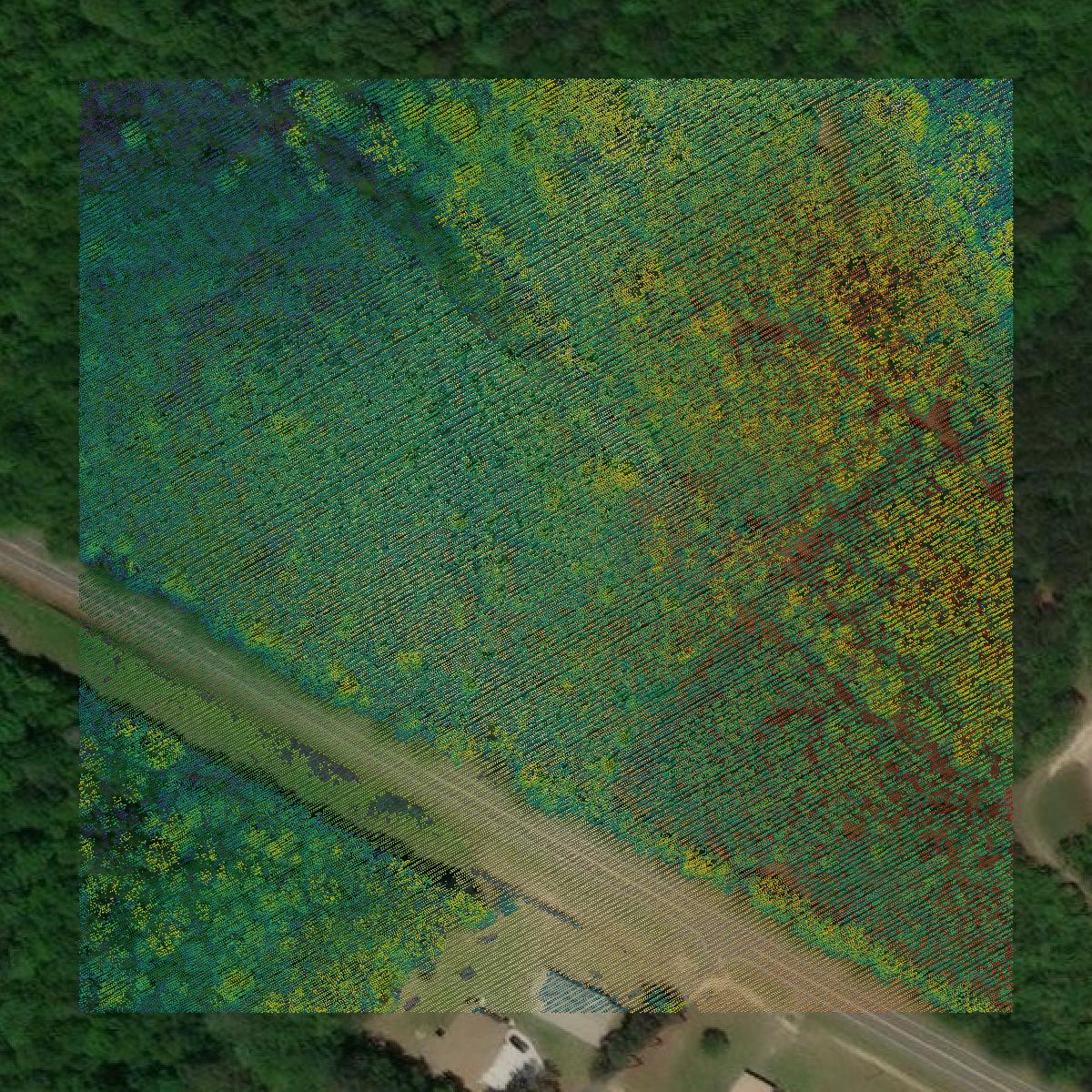 This image shows a LiDAR point cloud in Twiggs County created using GIS data in Equator.