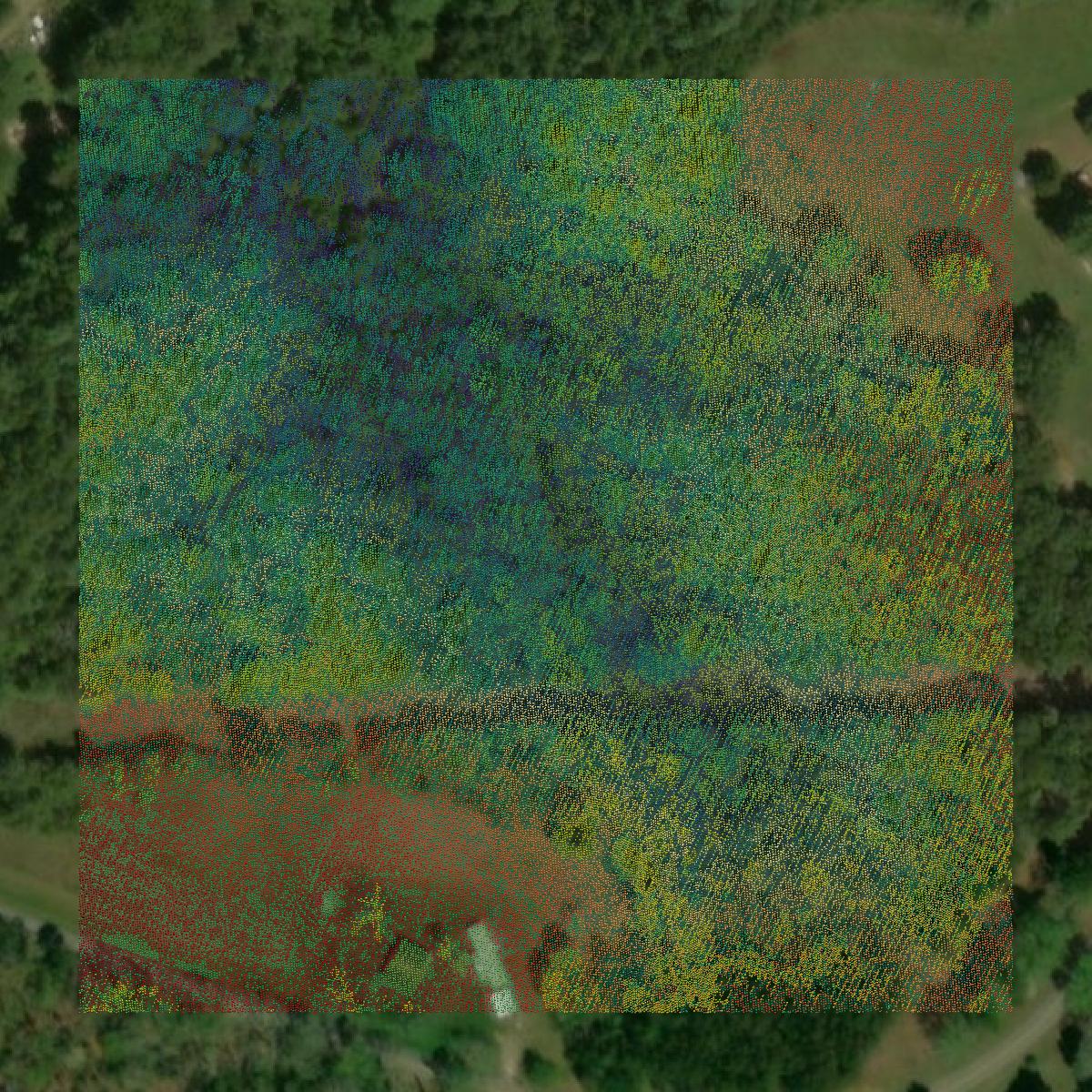 This image shows a LiDAR point cloud in Union County created using GIS data in Equator.