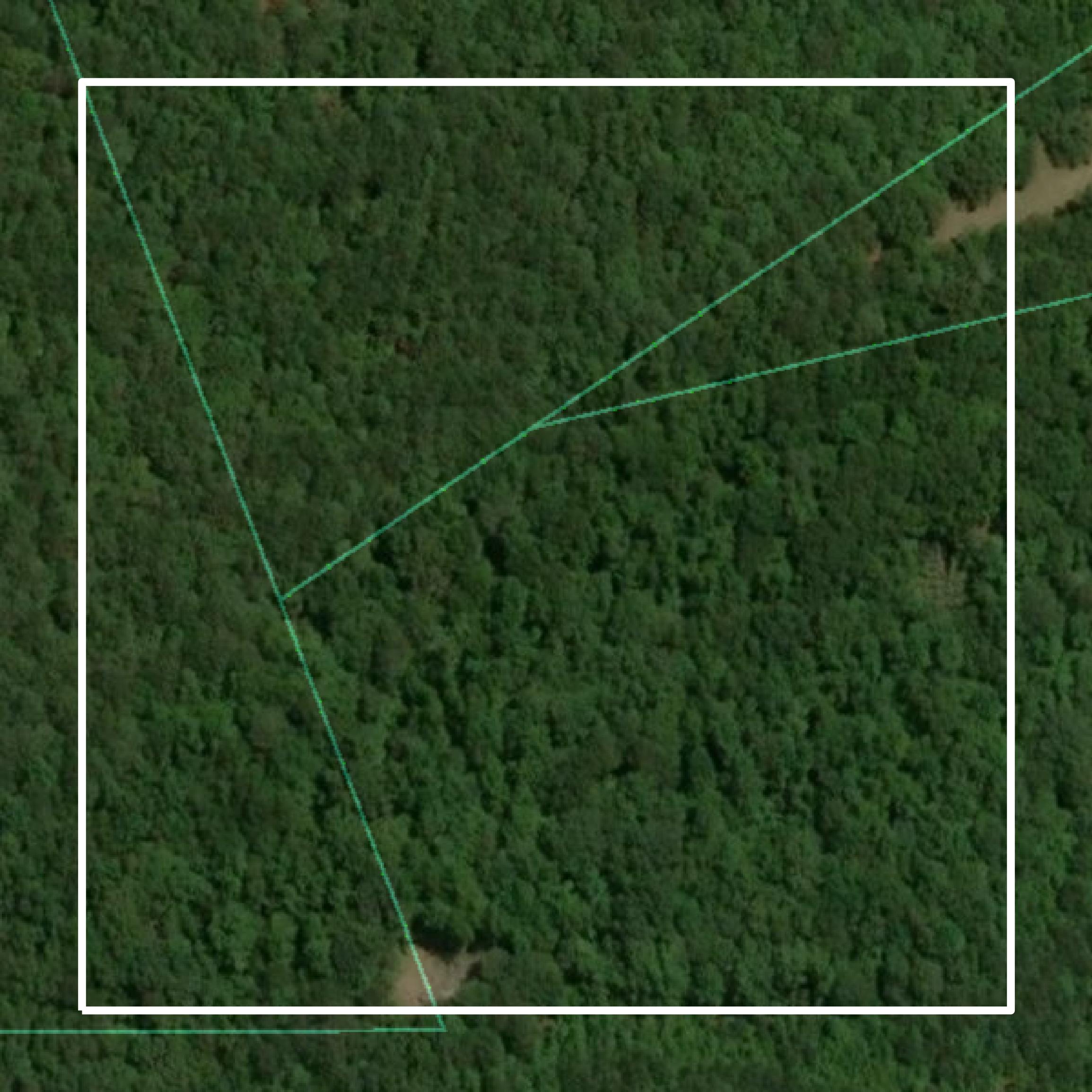 This image shows parcel and building data in Upson County created using GIS data in Equator.