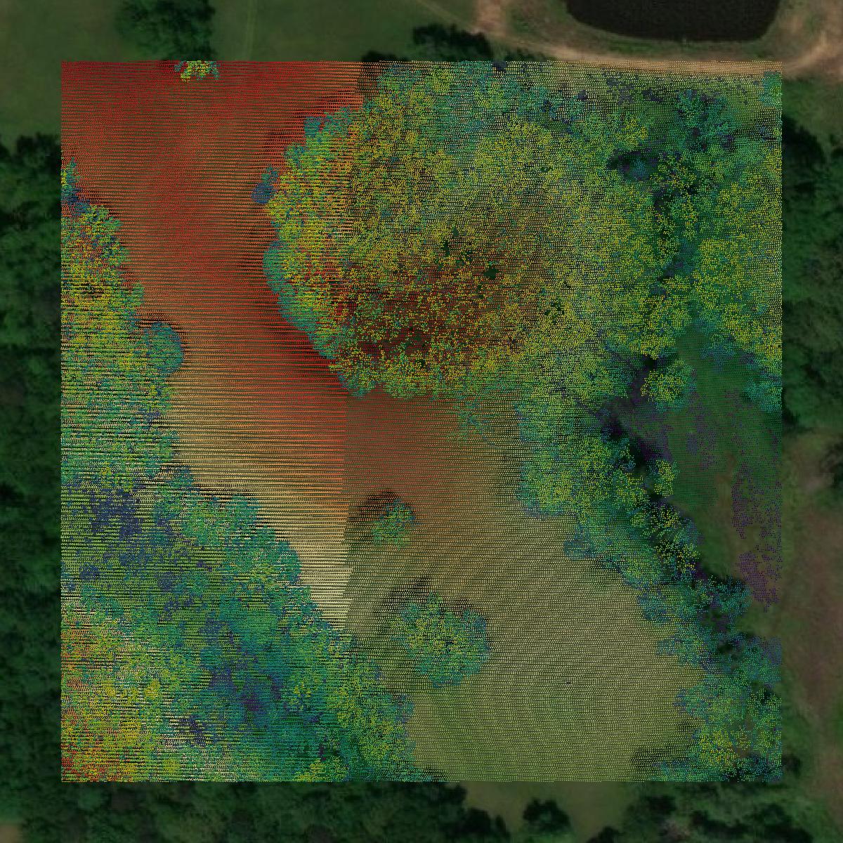 This image shows a LiDAR point cloud in Upson County created using GIS data in Equator.