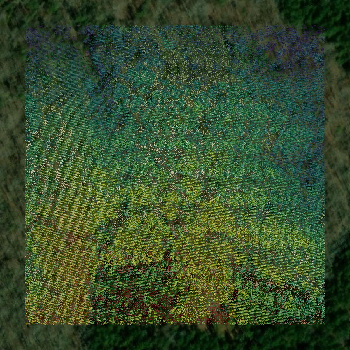 This image shows a LiDAR point cloud in Upson County created using GIS data in Equator.