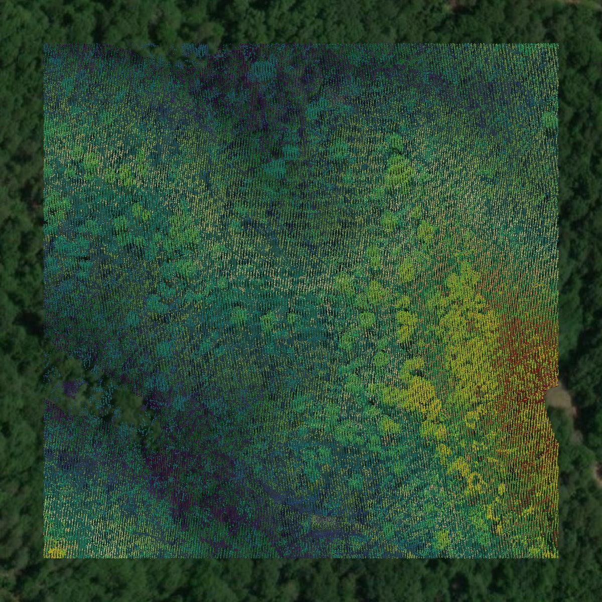 This image shows a LiDAR point cloud in Walker County created using GIS data in Equator.
