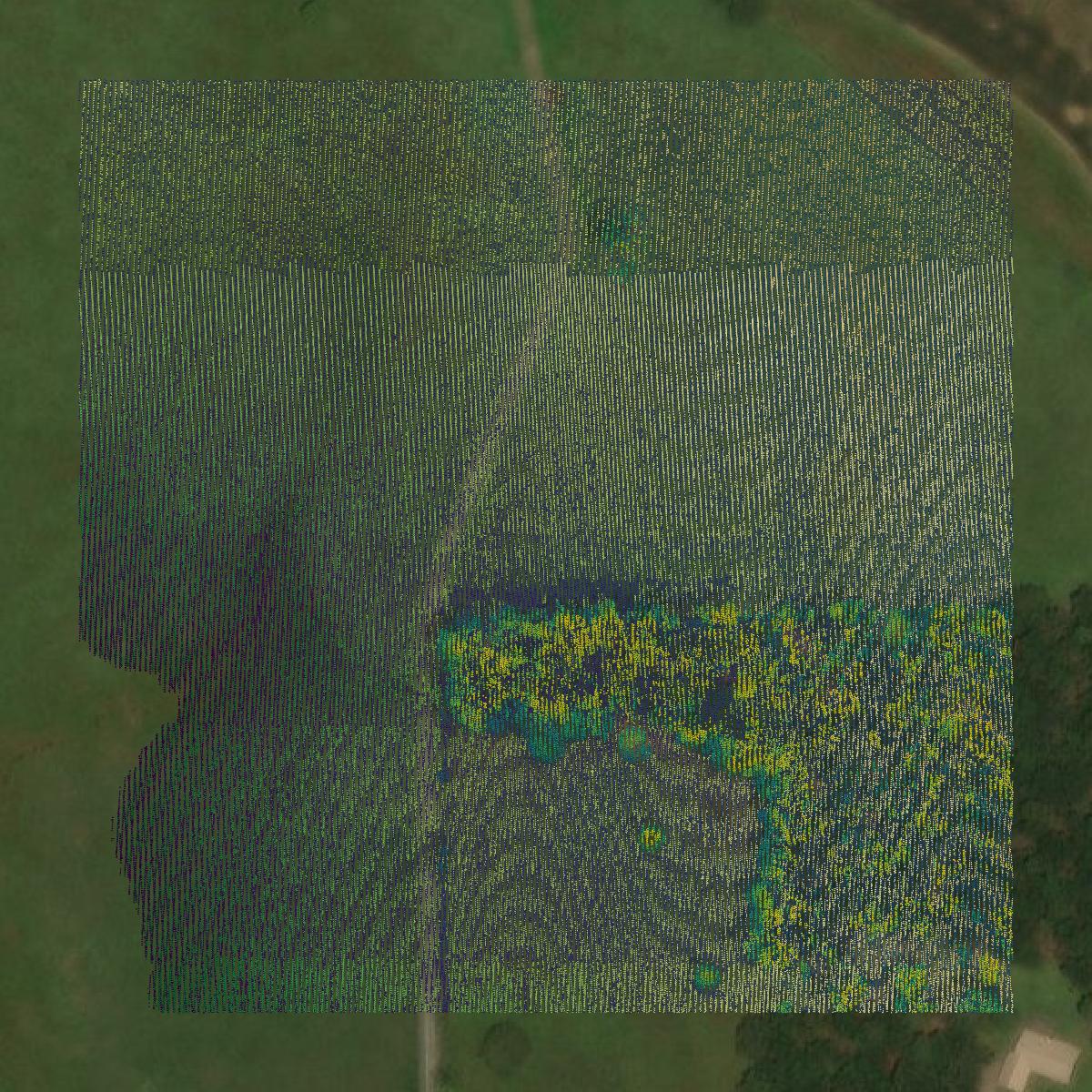 This image shows a LiDAR point cloud in Walker County created using GIS data in Equator.