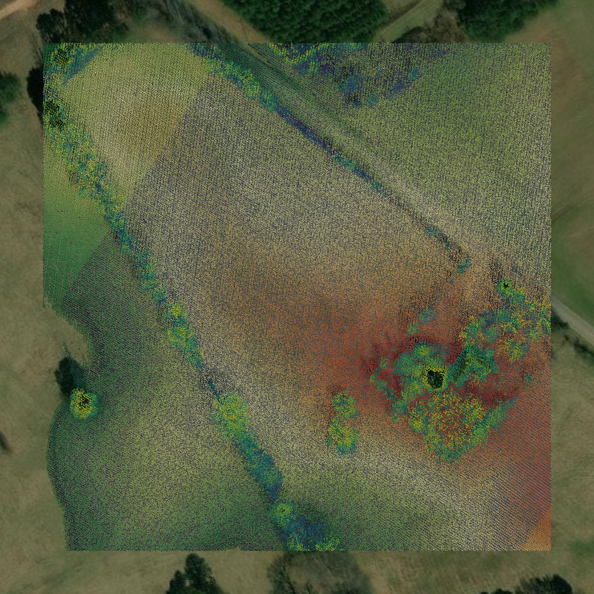 This image shows a LiDAR point cloud in Walton County created using GIS data in Equator.