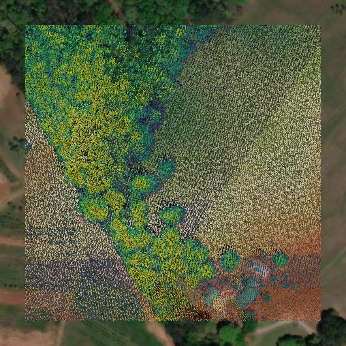 This image shows a LiDAR point cloud in Walton County created using GIS data in Equator.