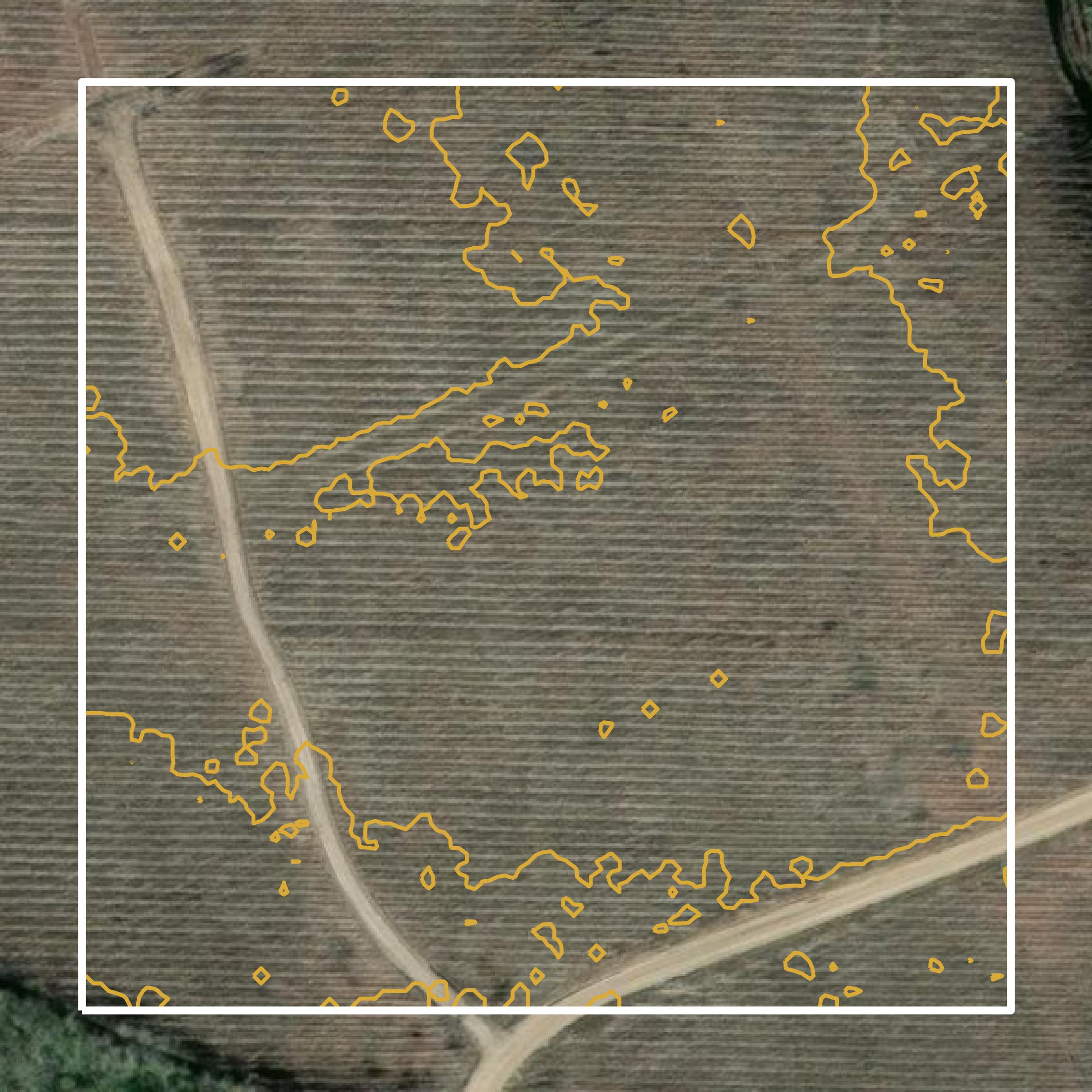 This image shows a contour map in Ware County created using GIS data in Equator.