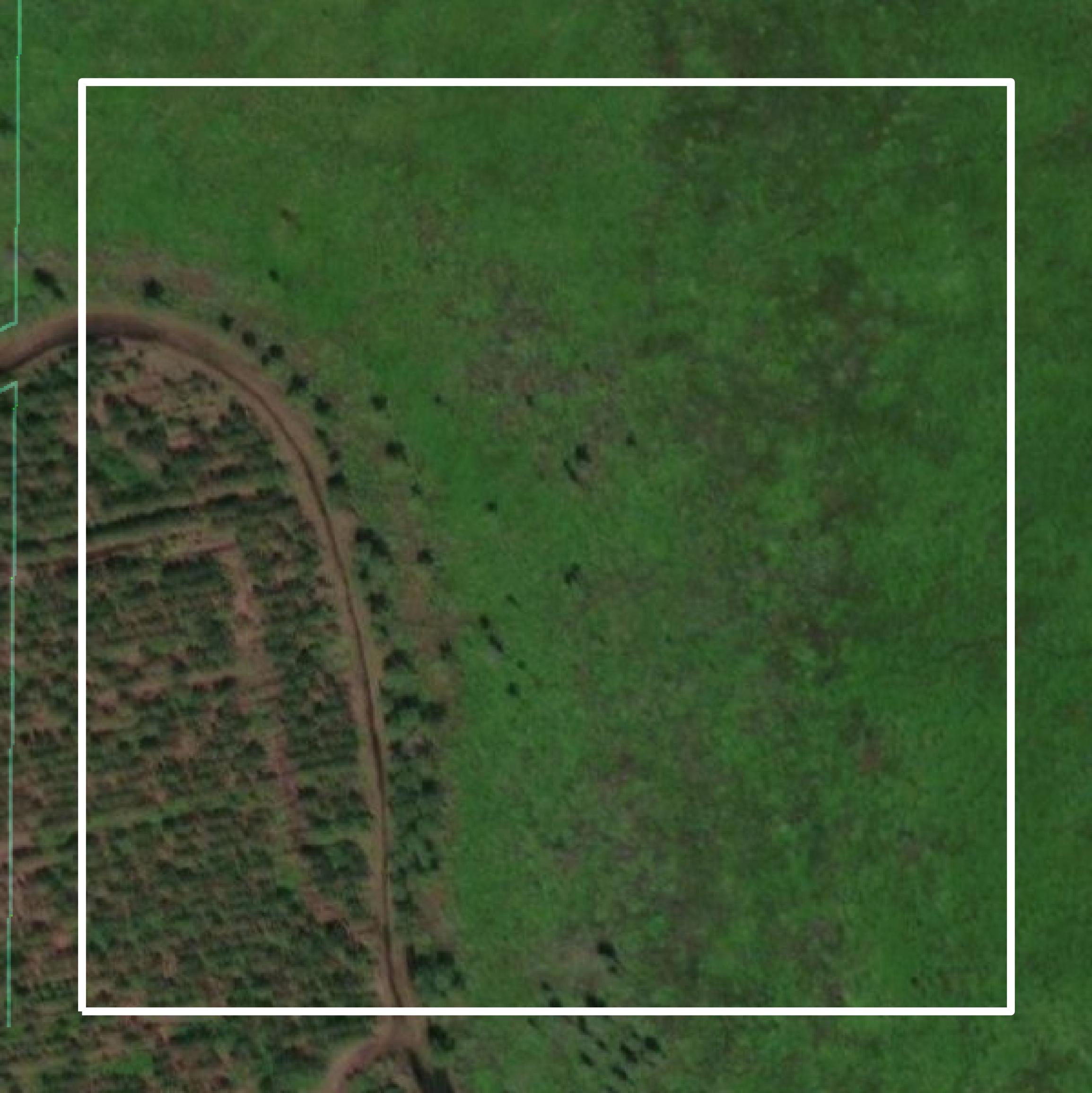 This image shows parcel and building data in Ware County created using GIS data in Equator.