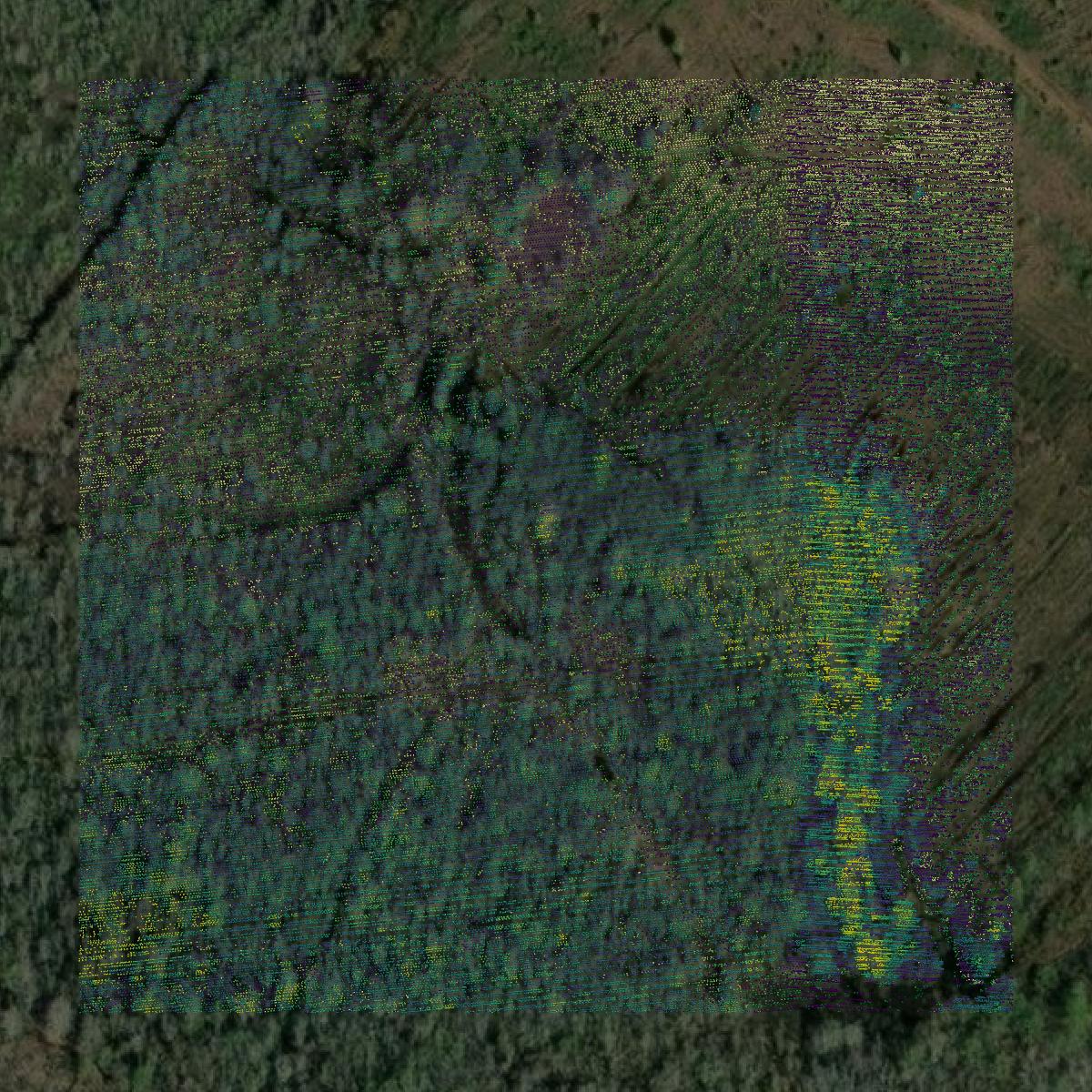 This image shows a LiDAR point cloud in Ware County created using GIS data in Equator.