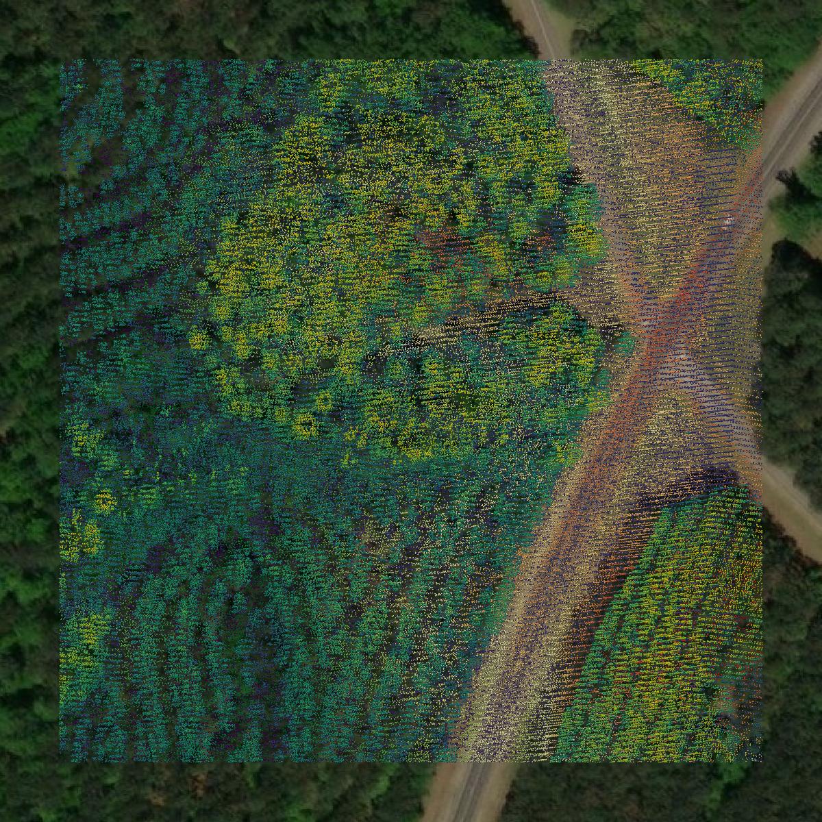 This image shows a LiDAR point cloud in Warren County created using GIS data in Equator.