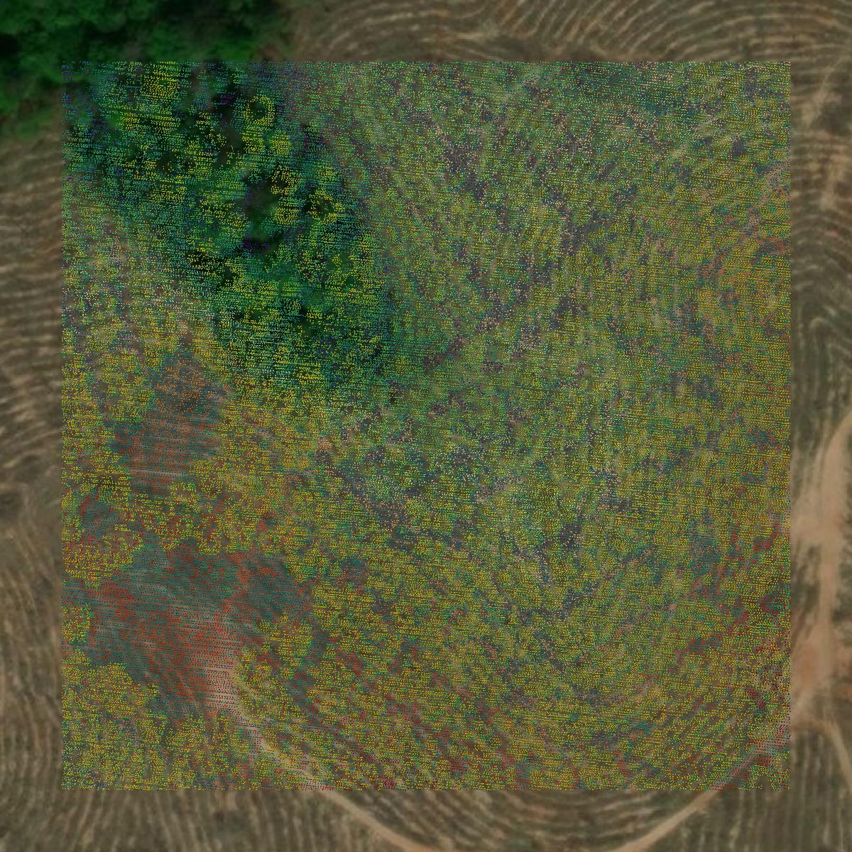 This image shows a LiDAR point cloud in Warren County created using GIS data in Equator.