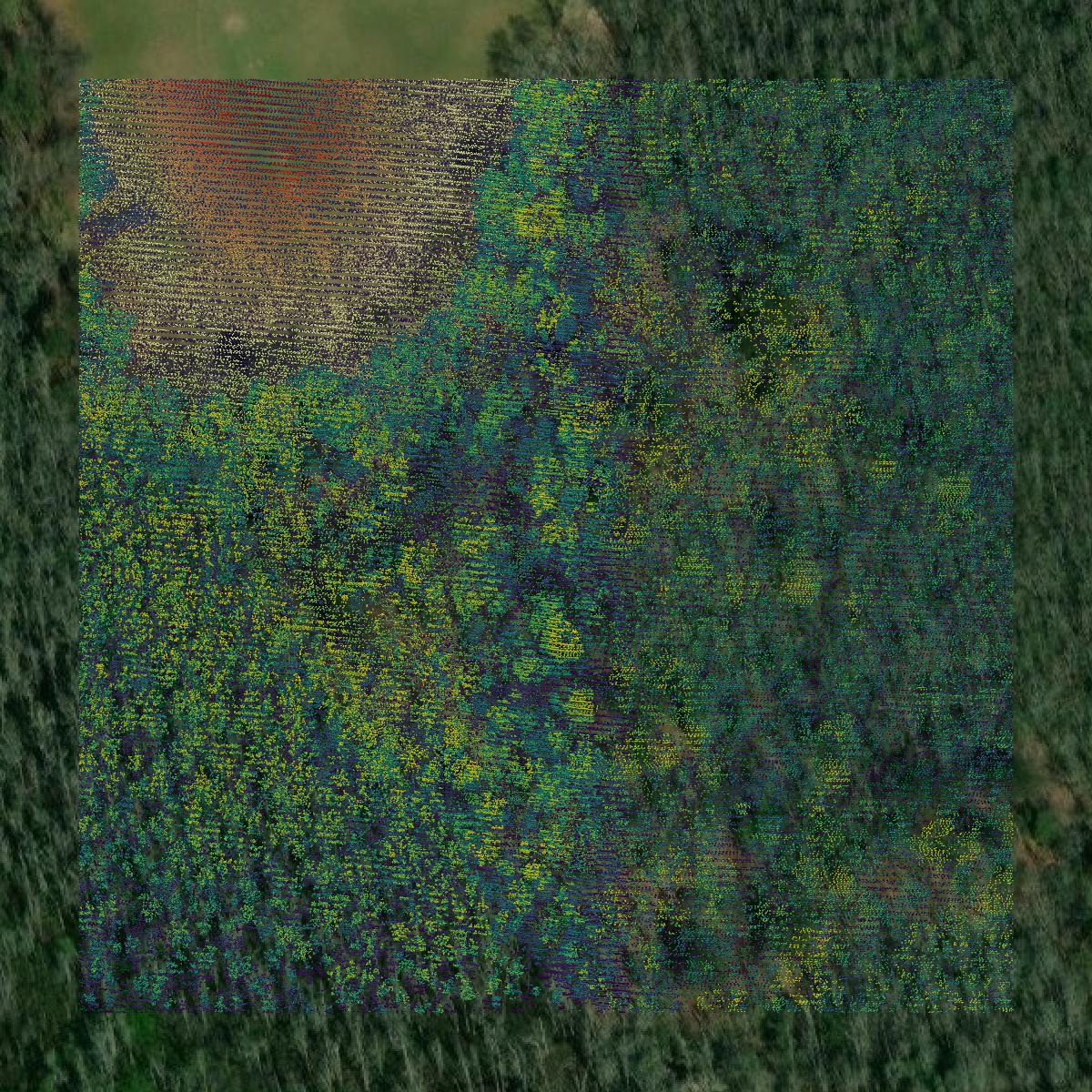 This image shows a LiDAR point cloud in Washington County created using GIS data in Equator.