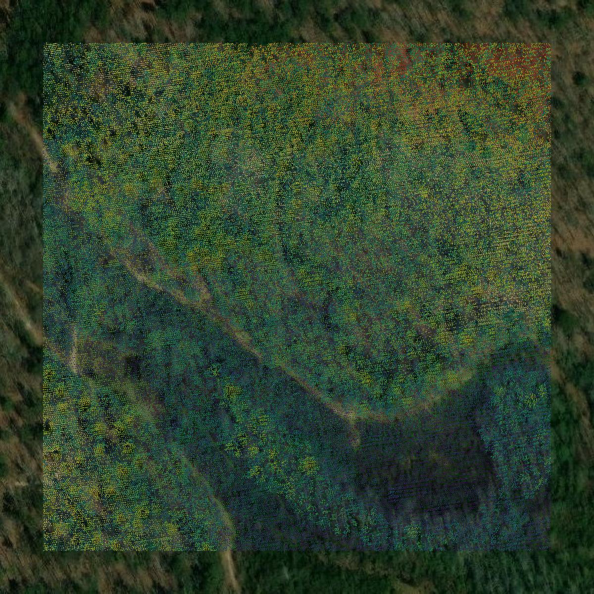 This image shows a LiDAR point cloud in Washington County created using GIS data in Equator.