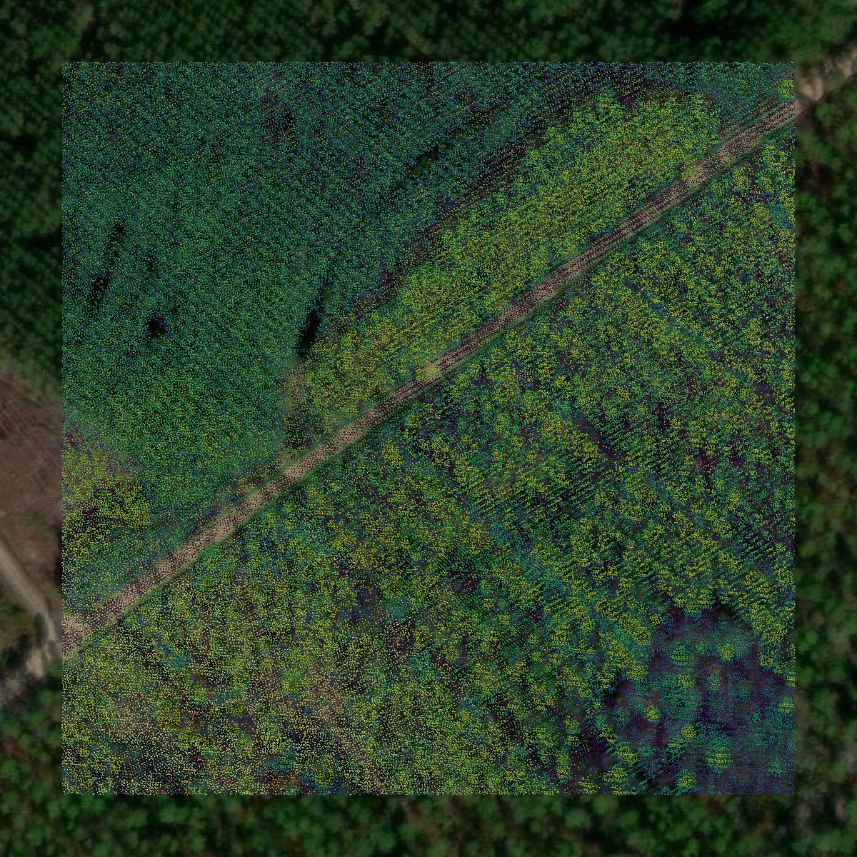 This image shows a LiDAR point cloud in Wayne County created using GIS data in Equator.