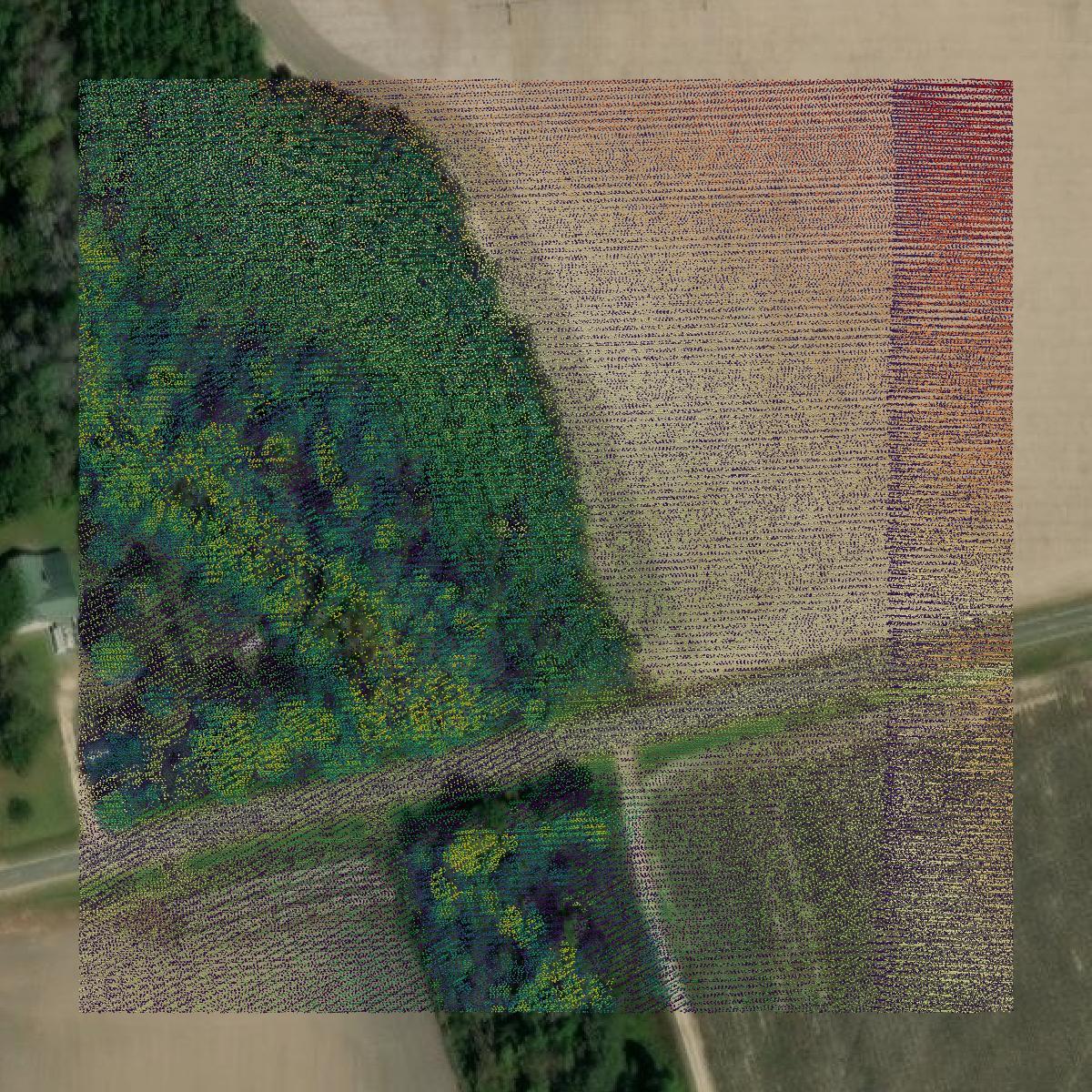 This image shows a LiDAR point cloud in Wayne County created using GIS data in Equator.