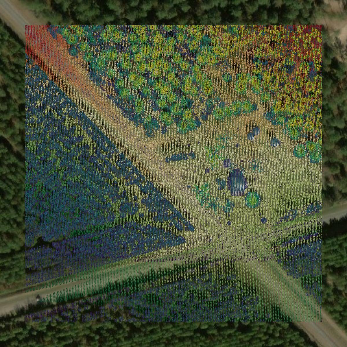 This image shows a LiDAR point cloud in Webster County created using GIS data in Equator.