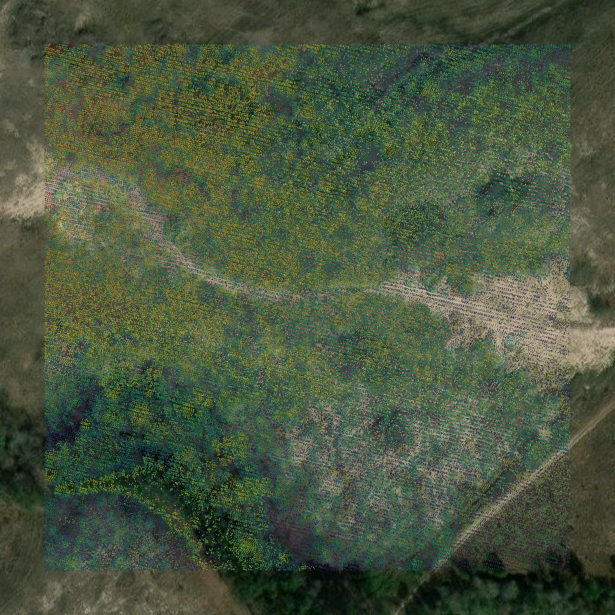 This image shows a LiDAR point cloud in Wheeler County created using GIS data in Equator.