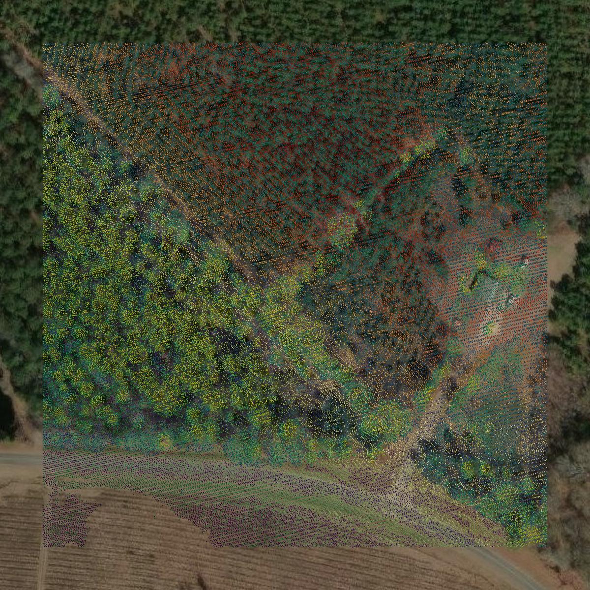 This image shows a LiDAR point cloud in Wheeler County created using GIS data in Equator.