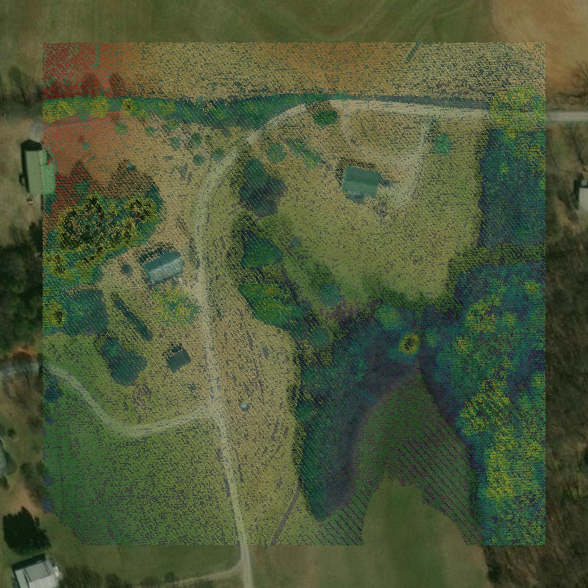 This image shows a LiDAR point cloud in White County created using GIS data in Equator.