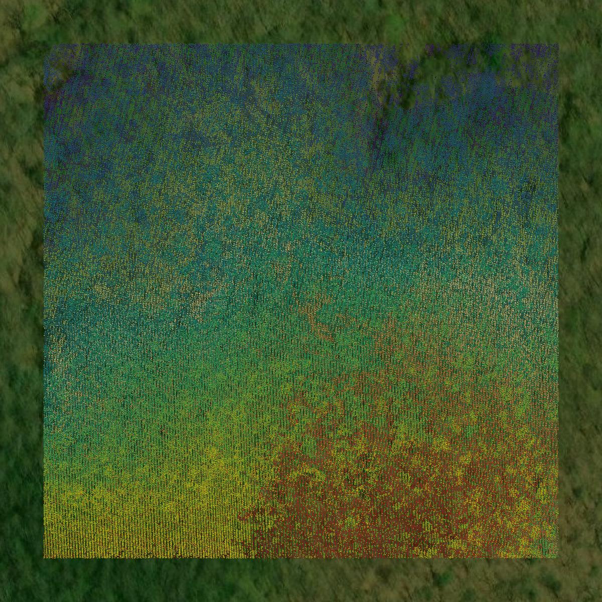 This image shows a LiDAR point cloud in White County created using GIS data in Equator.