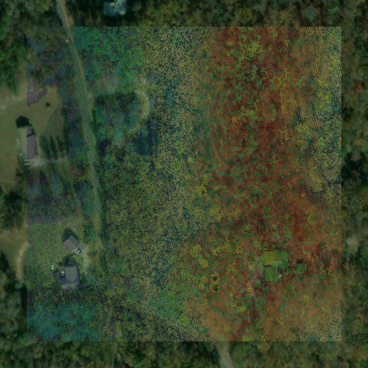 This image shows a LiDAR point cloud in Whitfield County created using GIS data in Equator.