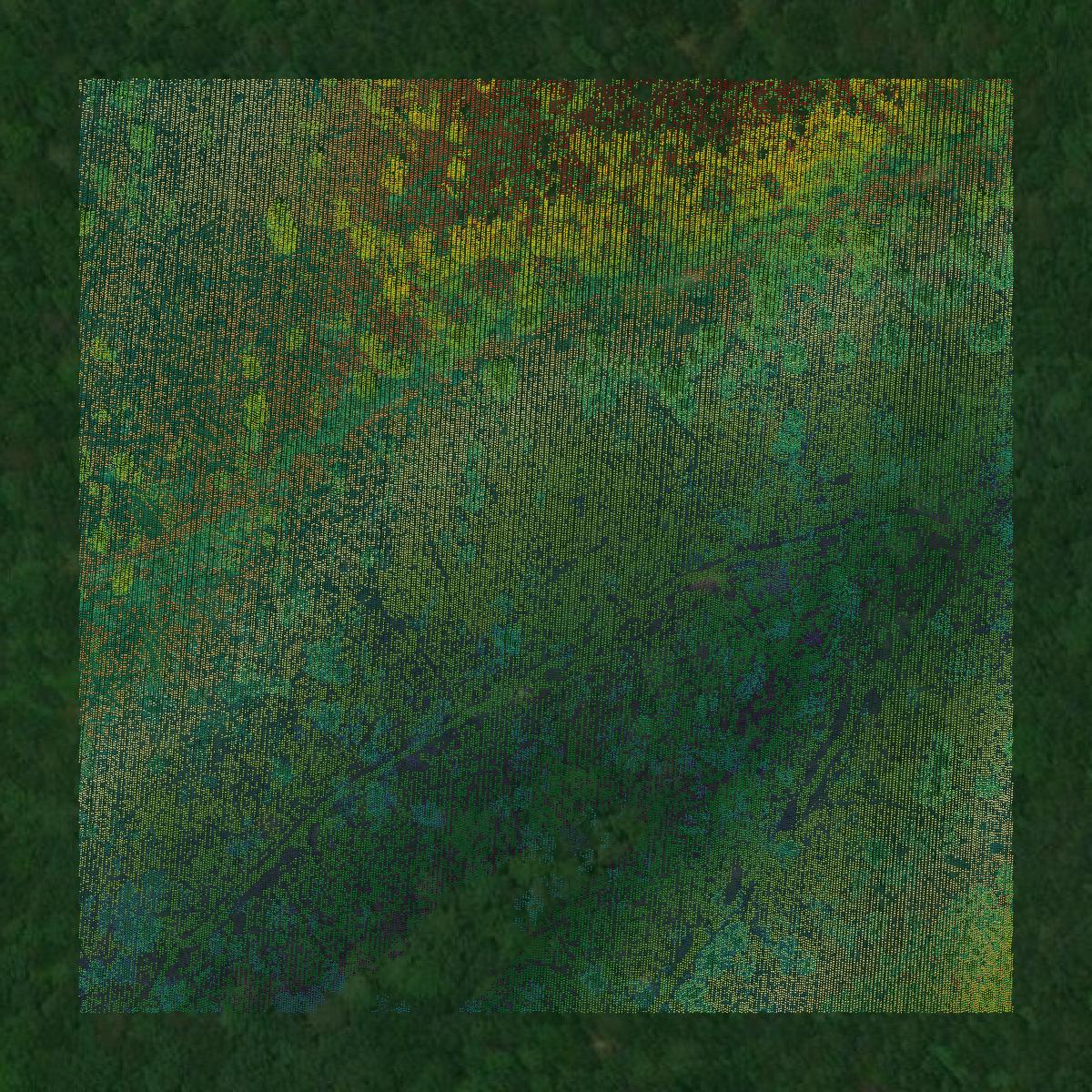 This image shows a LiDAR point cloud in Whitfield County created using GIS data in Equator.