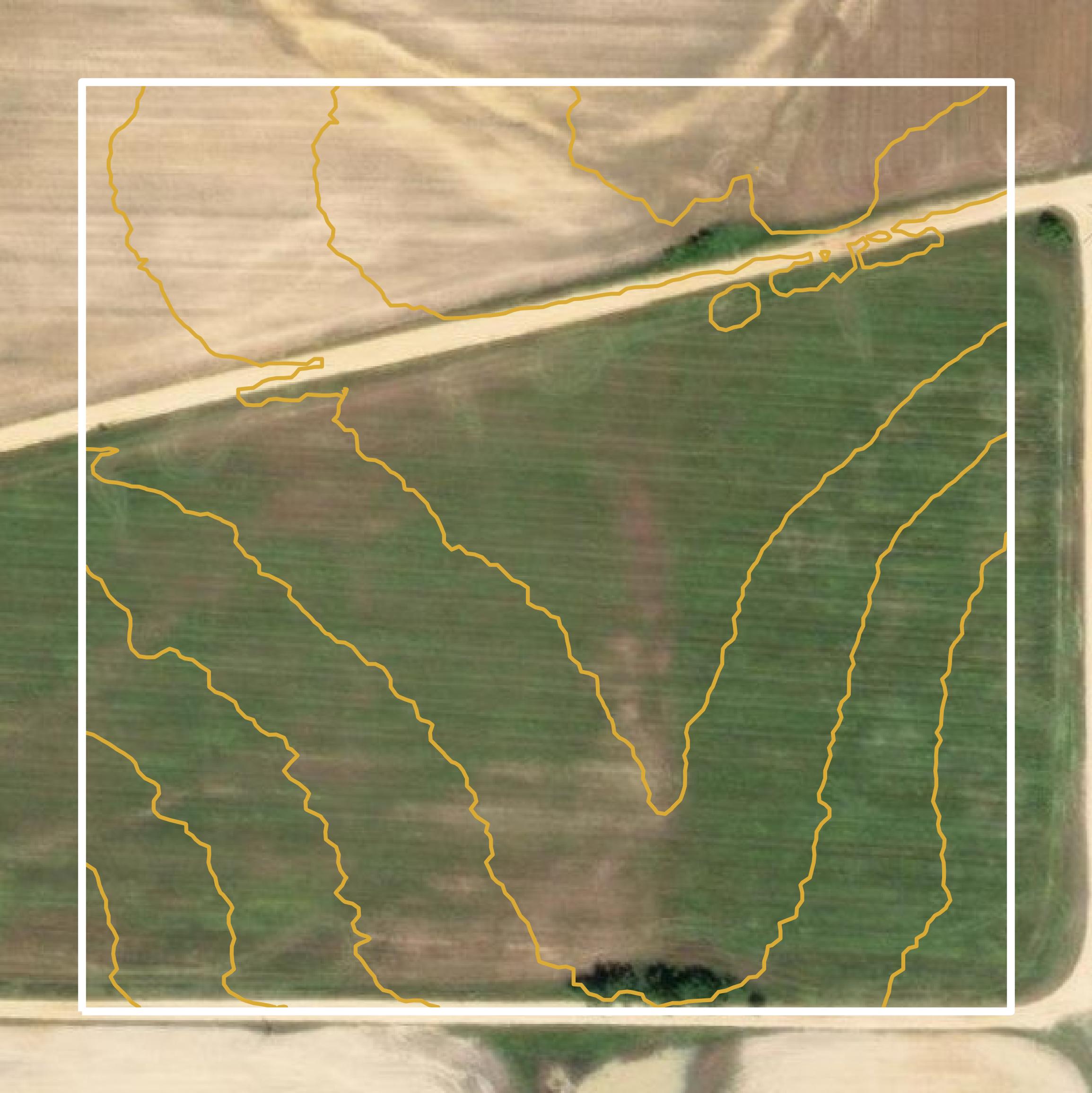 This image shows a contour map in Wilcox County created using GIS data in Equator.