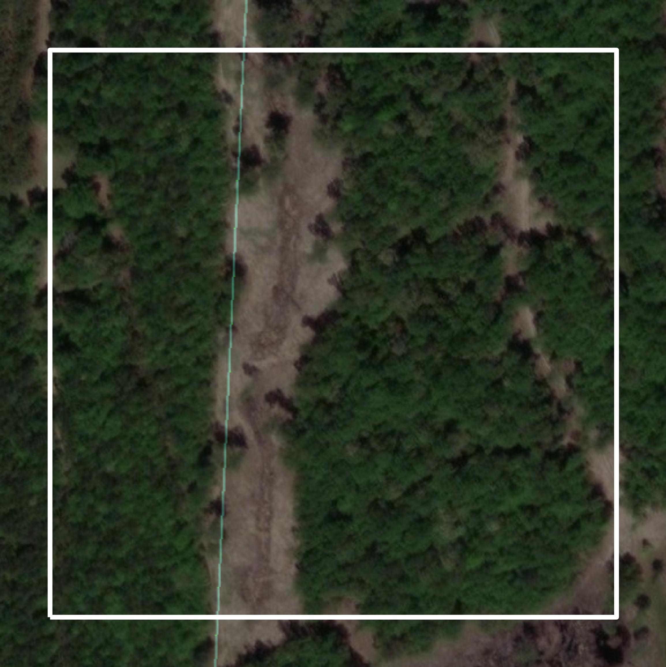 This image shows parcel and building data in Wilcox County created using GIS data in Equator.