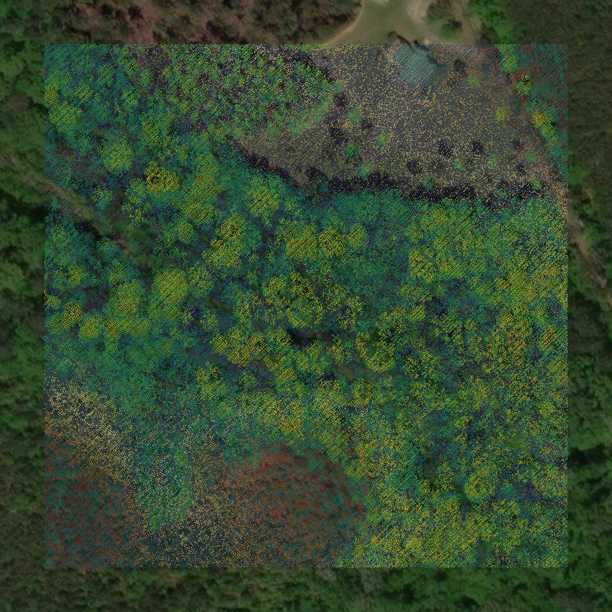This image shows a LiDAR point cloud in Wilkes County created using GIS data in Equator.