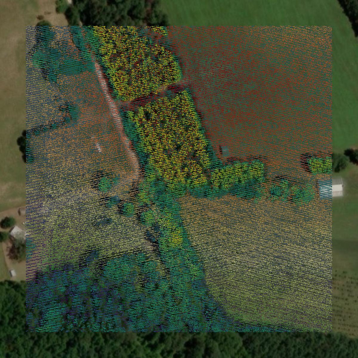 This image shows a LiDAR point cloud in Wilkes County created using GIS data in Equator.