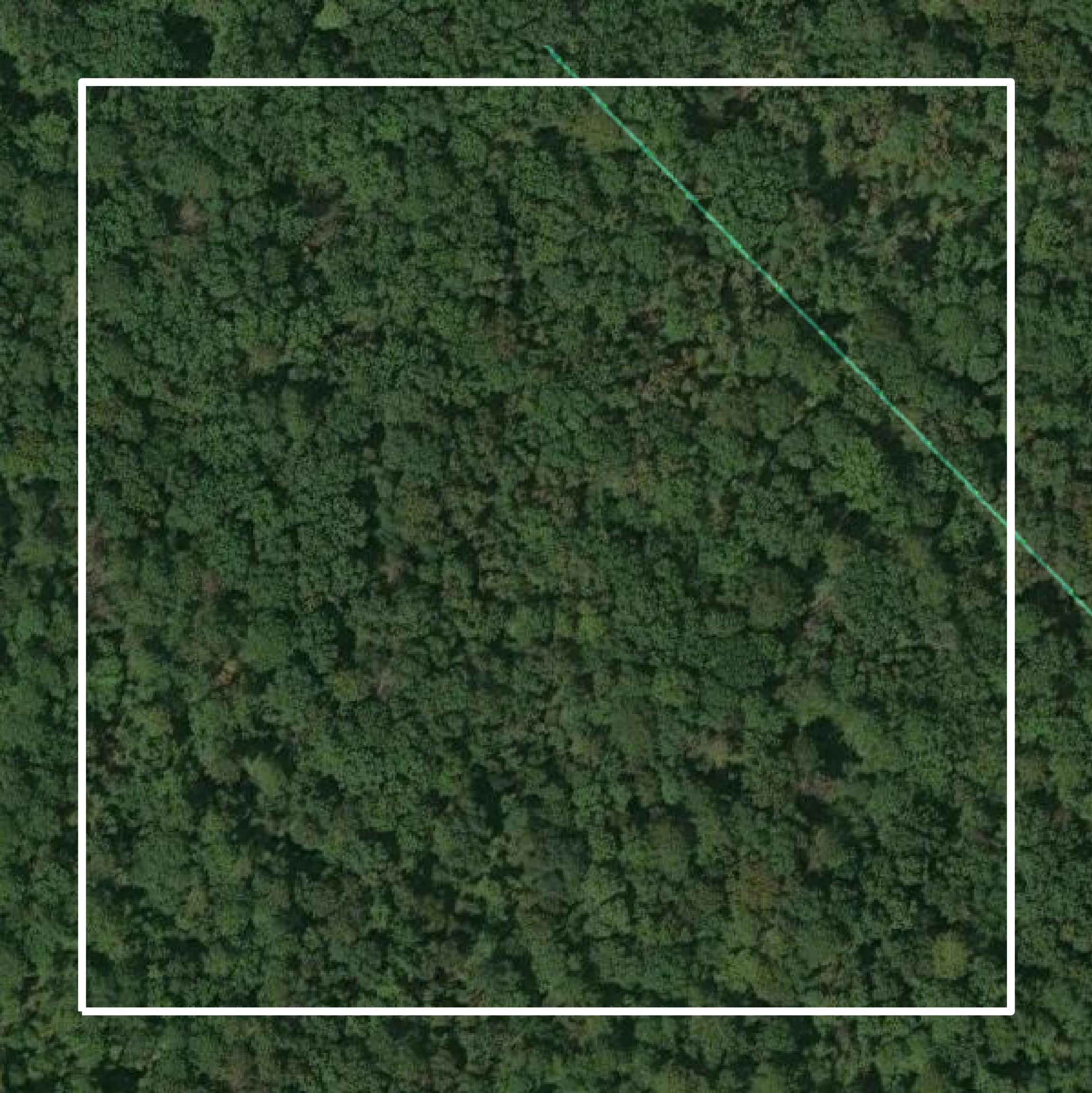 This image shows parcel and building data in Wilkinson County created using GIS data in Equator.