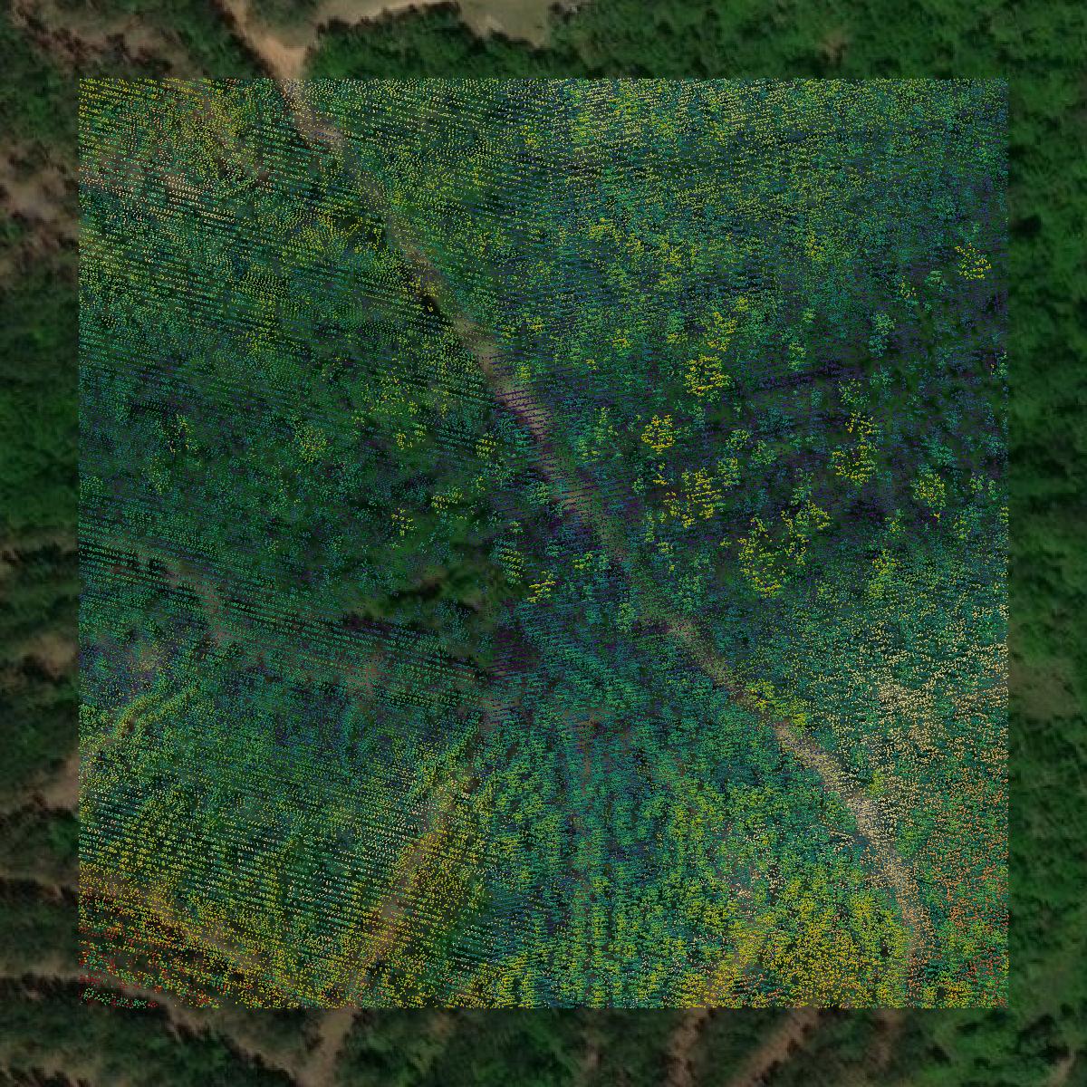 This image shows a LiDAR point cloud in Wilkinson County created using GIS data in Equator.