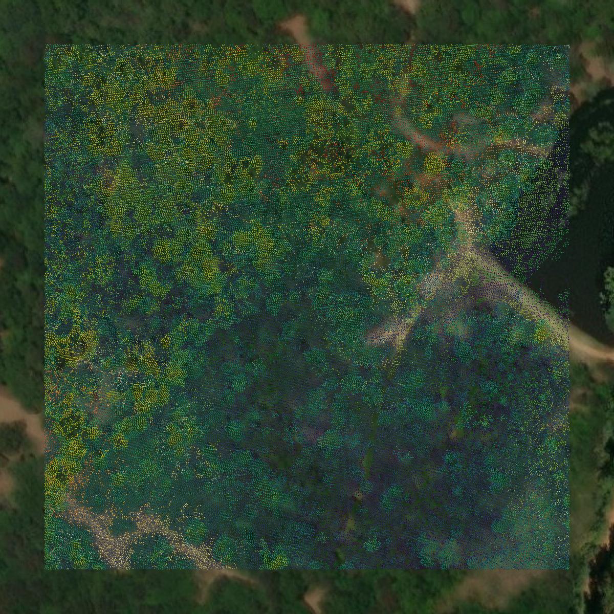 This image shows a LiDAR point cloud in Wilkinson County created using GIS data in Equator.